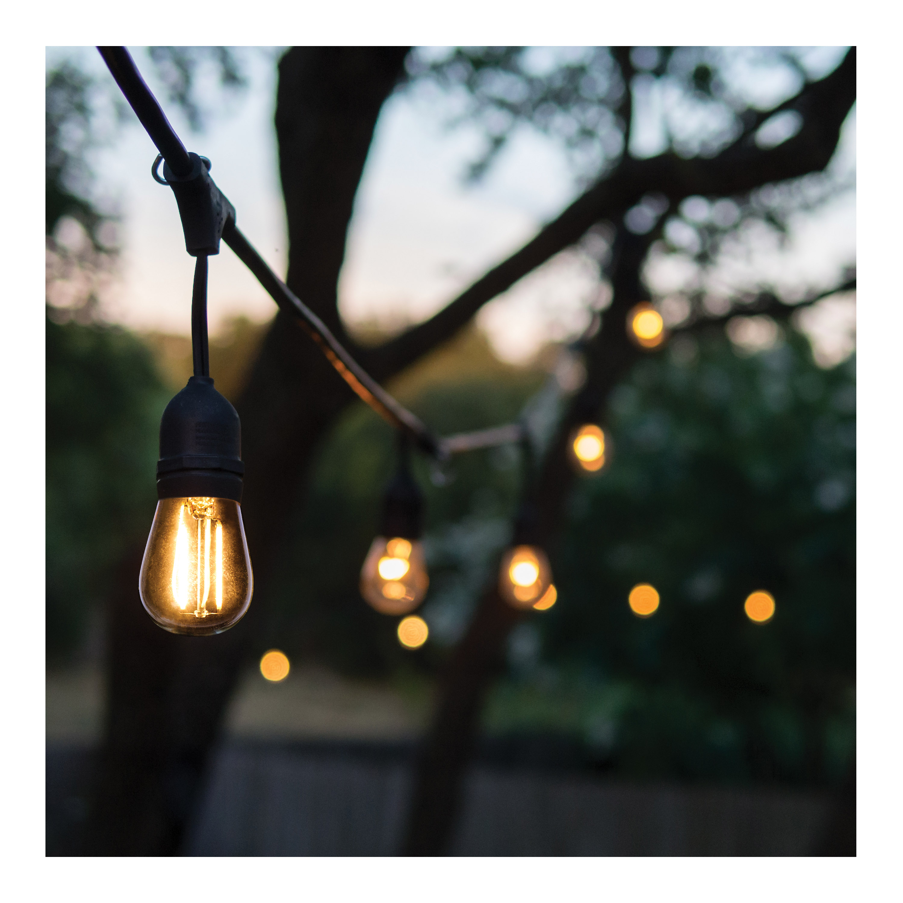 60FT/LED/SL/S14/22K/120V - S8032R1