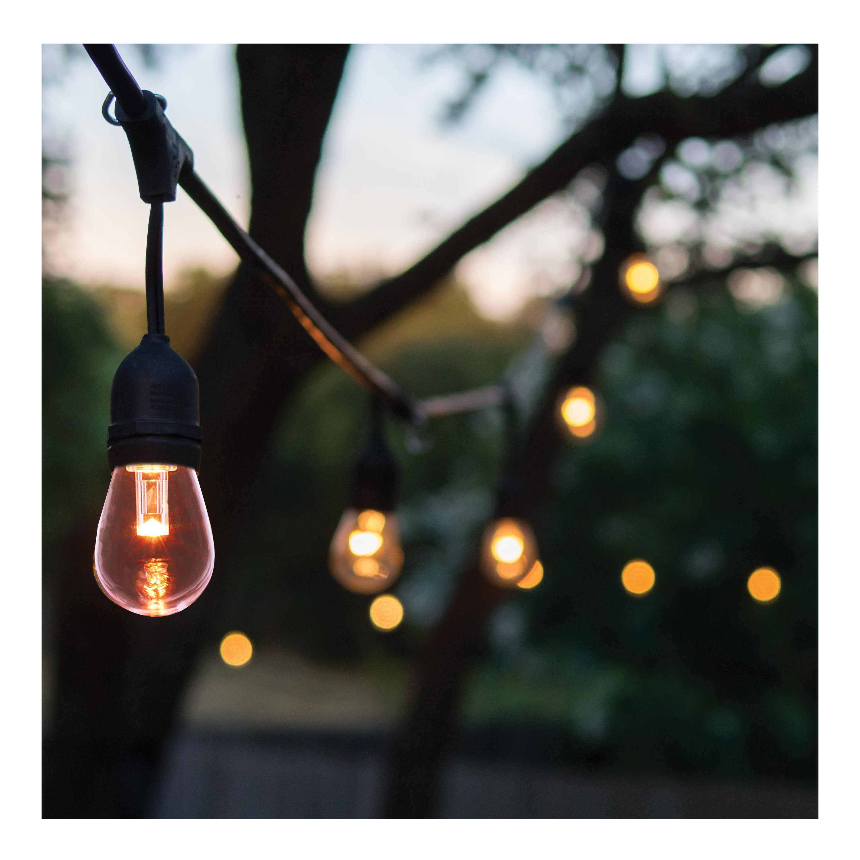 48FT/LED/SL/S14/IRR/RGBTW/120V - S8033R1