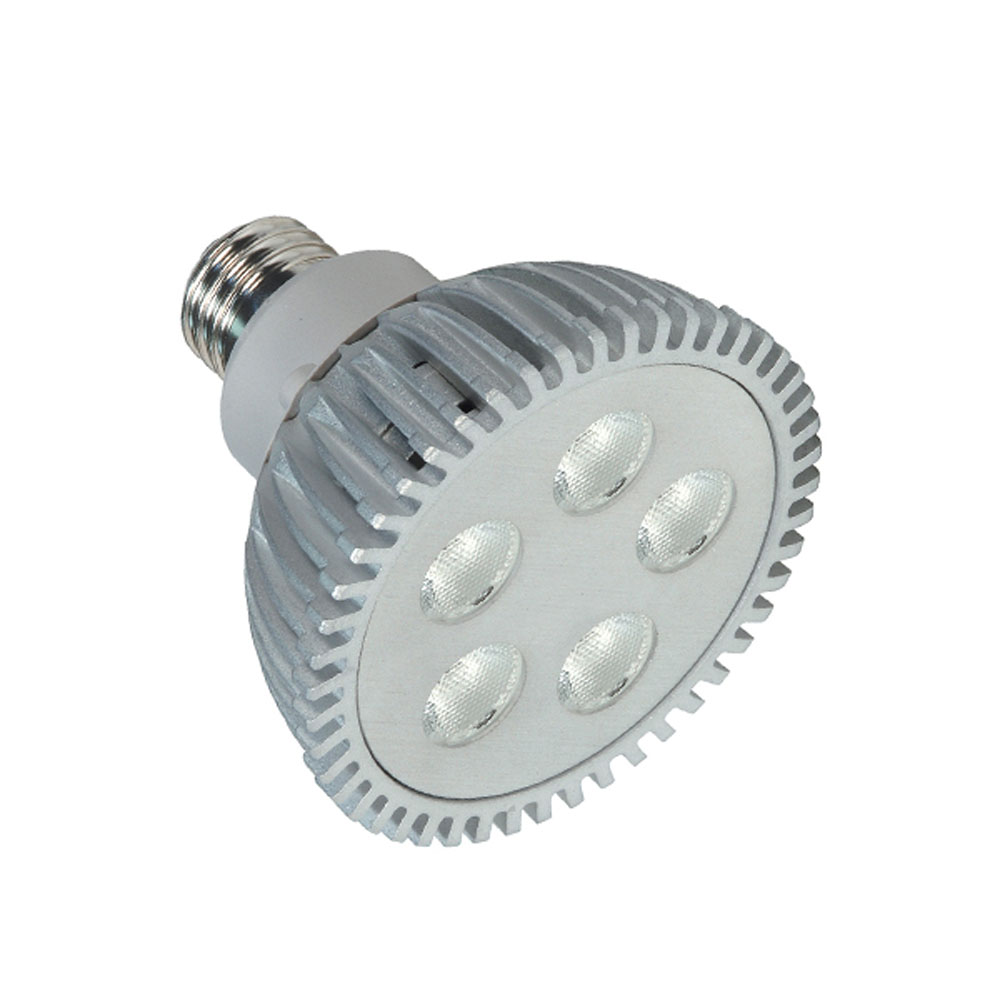 13PAR30S/LED/40'/6500K/120V - S8744