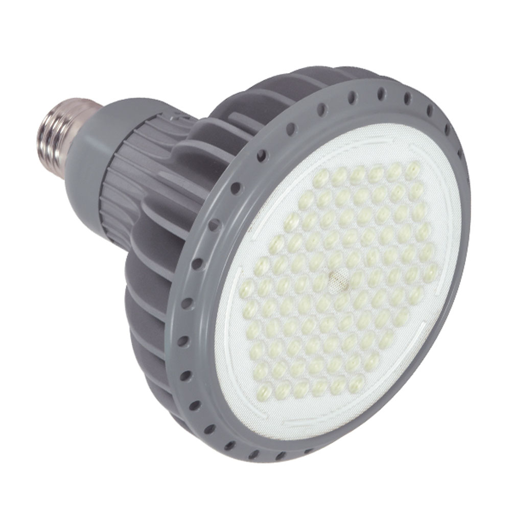 17PAR38/LED/40'/2700K/GRAY D - S8852