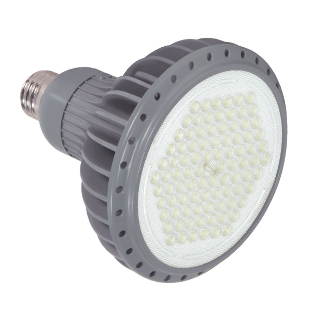 10PAR38/LED/60'/5000K/GRAY D - S8871