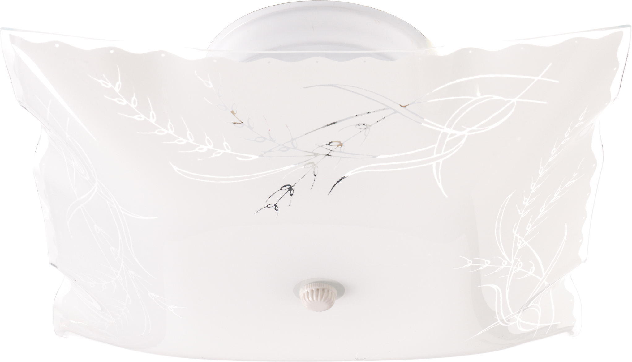 2 LIGHT 12" CEILING FIXTURE - SF76-270