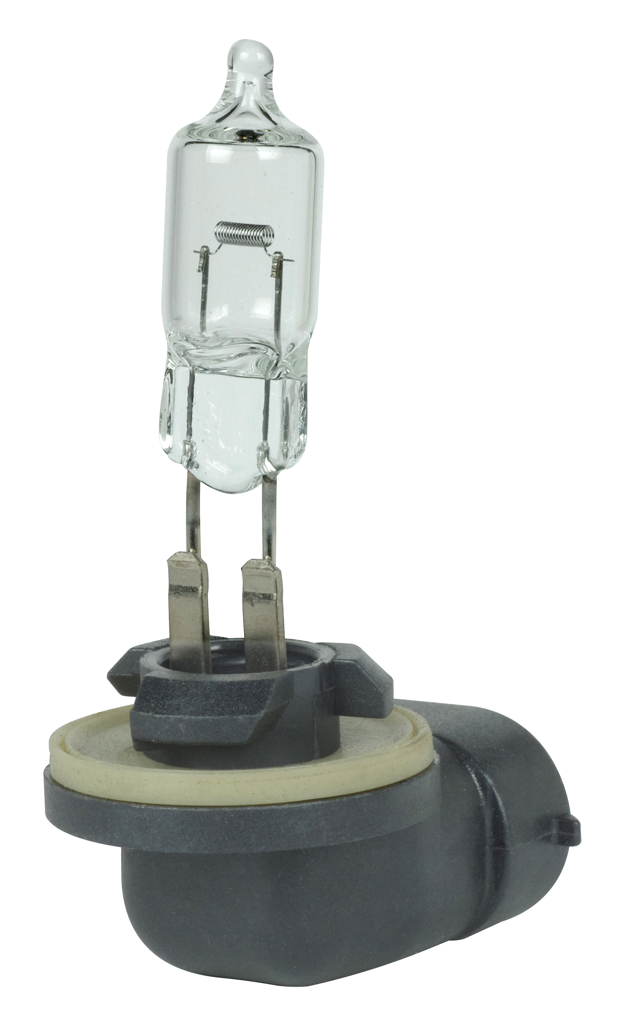 894 12.8V 37.5W PGJ13 T3 1/4 - S7158
