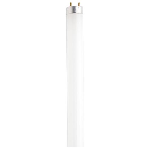 F32T8/841/XP/ECO #21767 - S2917
