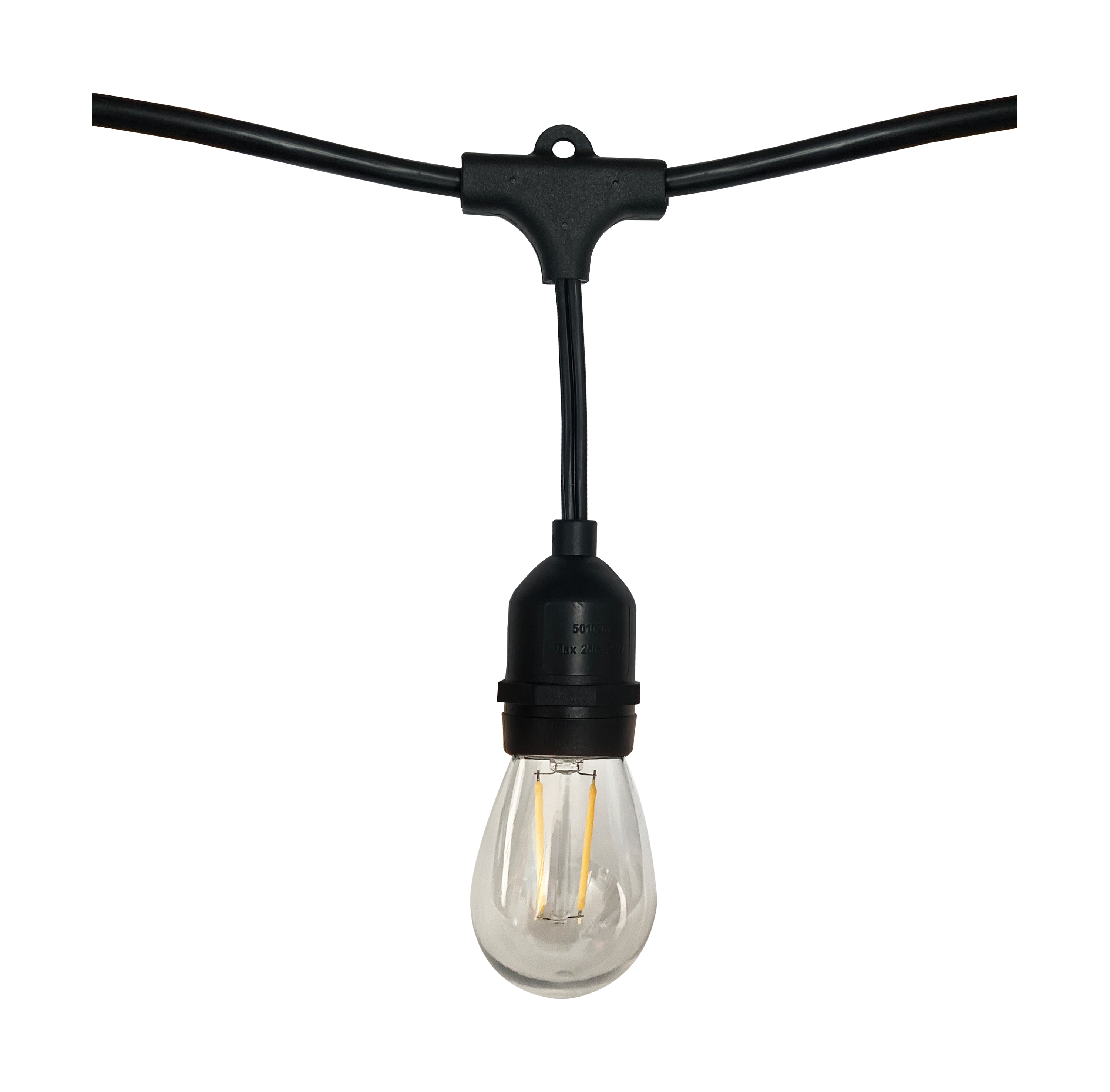 24FT/LED/STRING LIGHT/120V - S8020