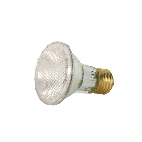 39PAR20/HAL/XEN/NSP/120V - S2231