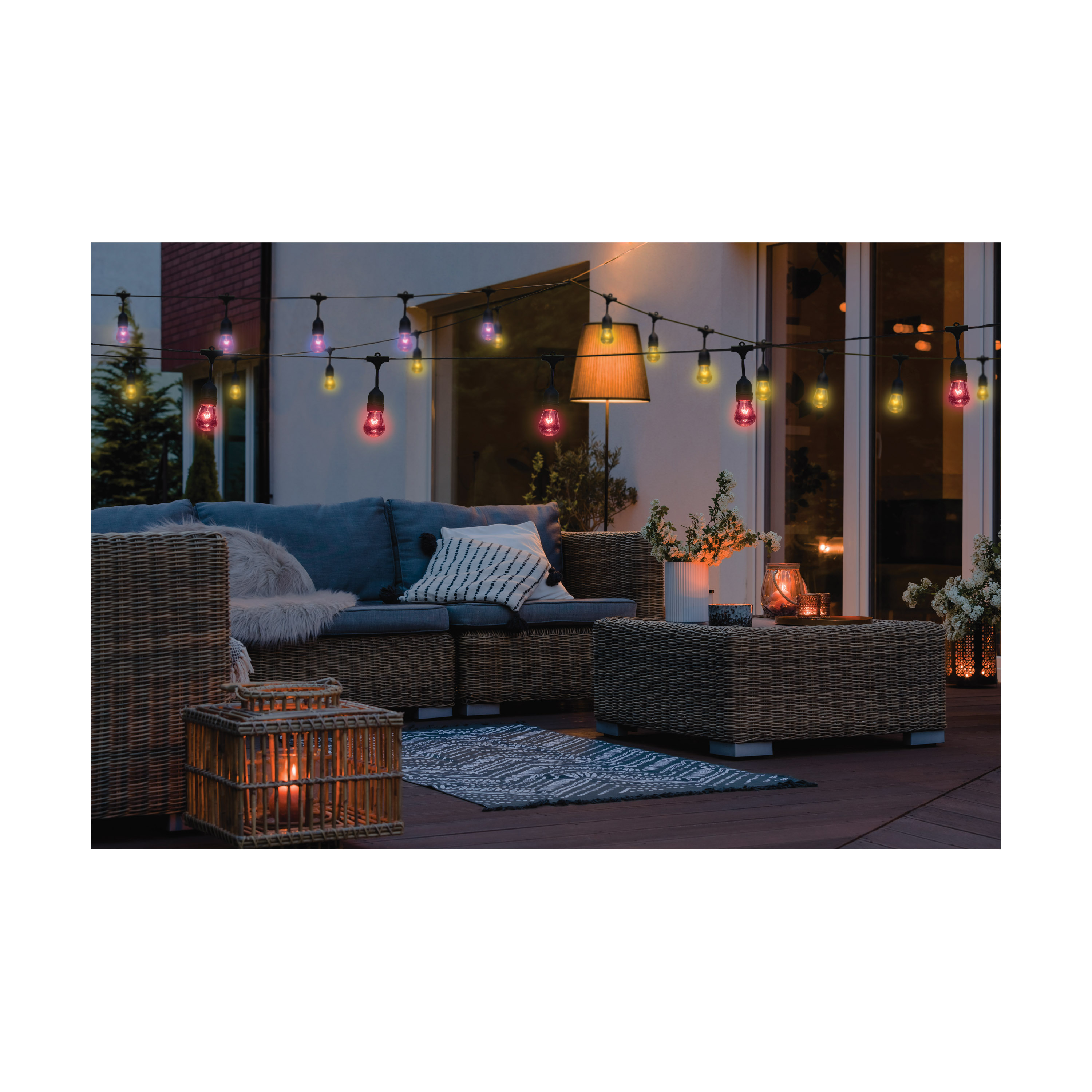 24FT/LED/SL/S14/SF/RGBTW/120V - S11190
