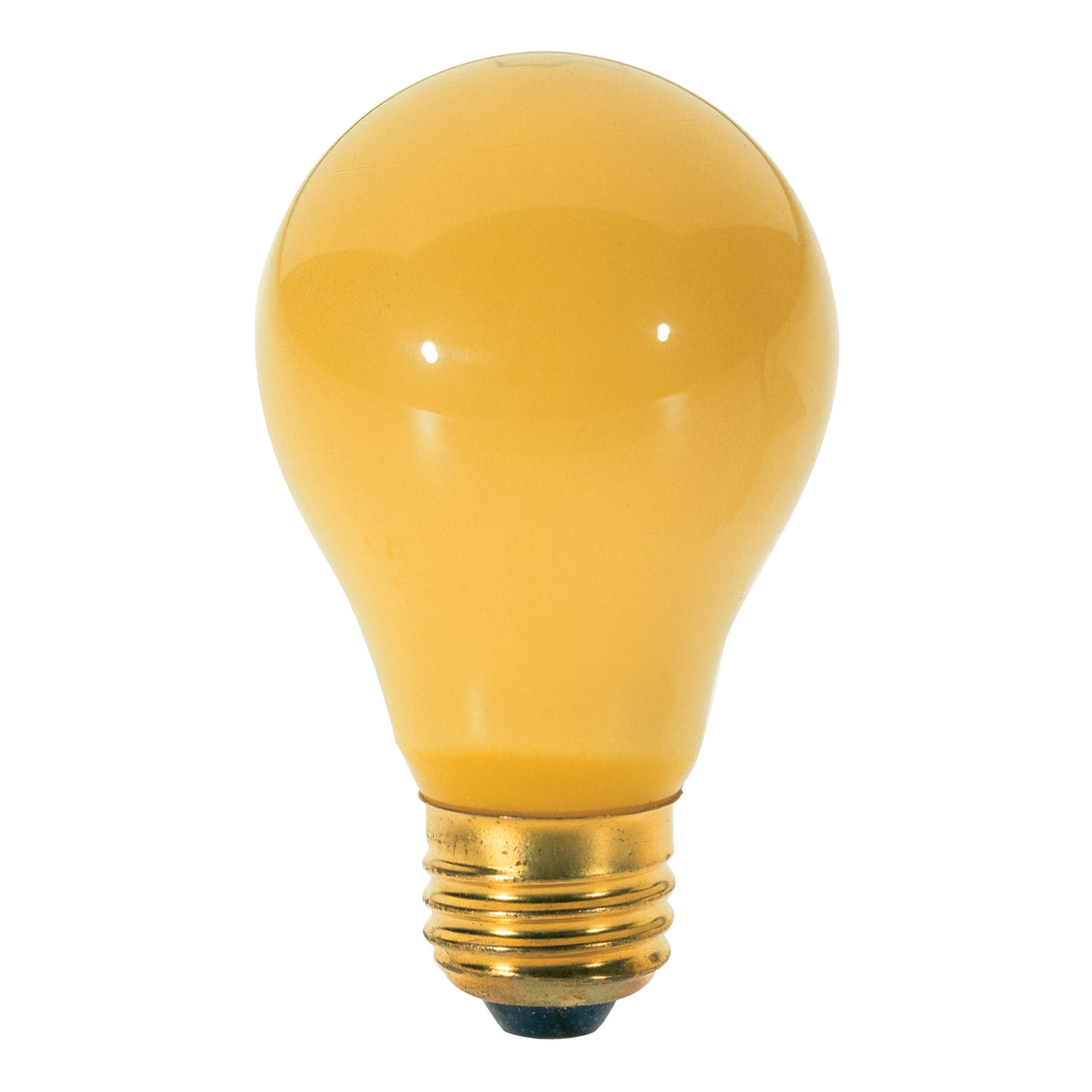 100 WATT CHASE-A-BUG BULB - S3939