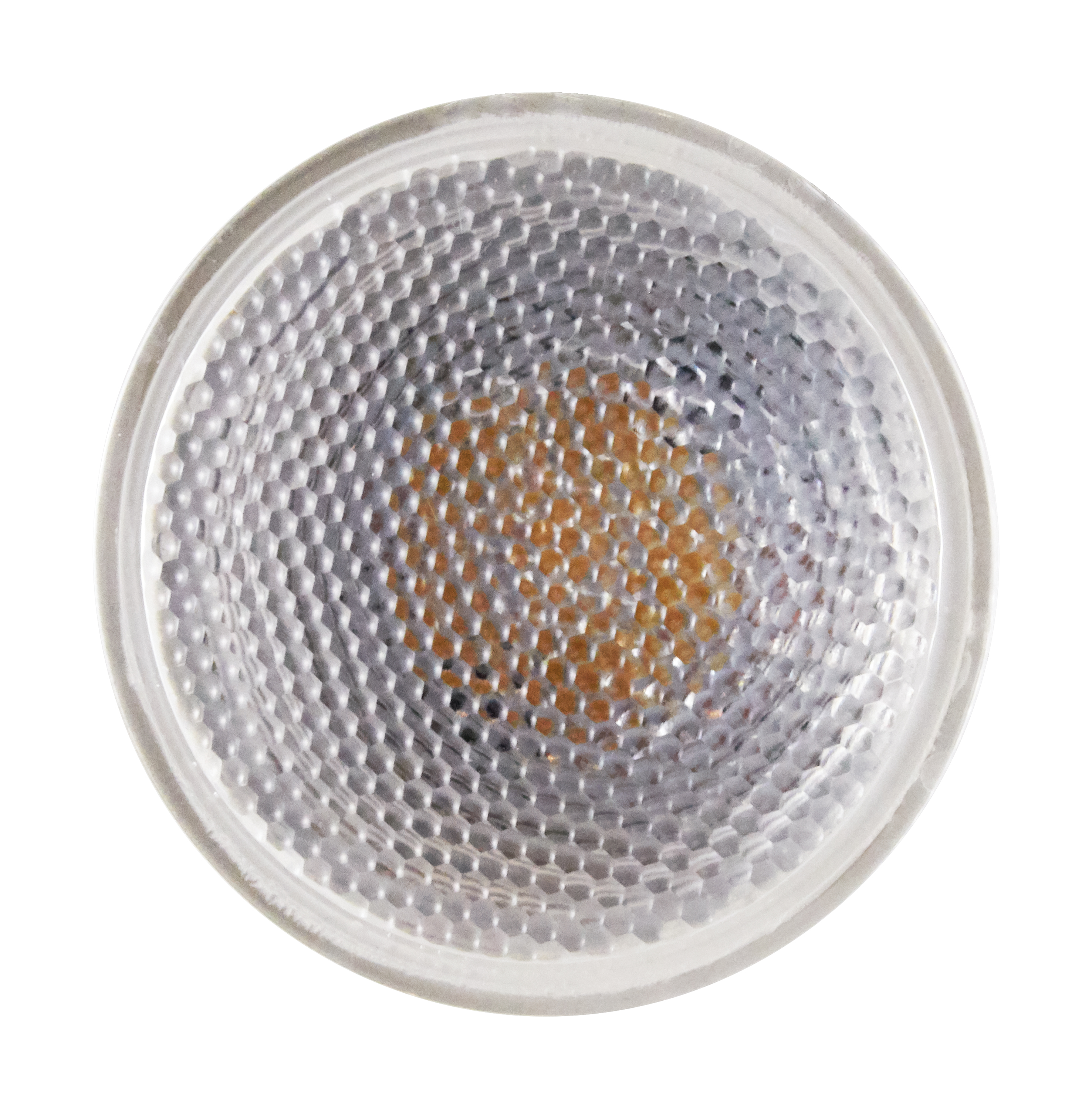 6.5PAR20/LED/25'/950/120V - S29404