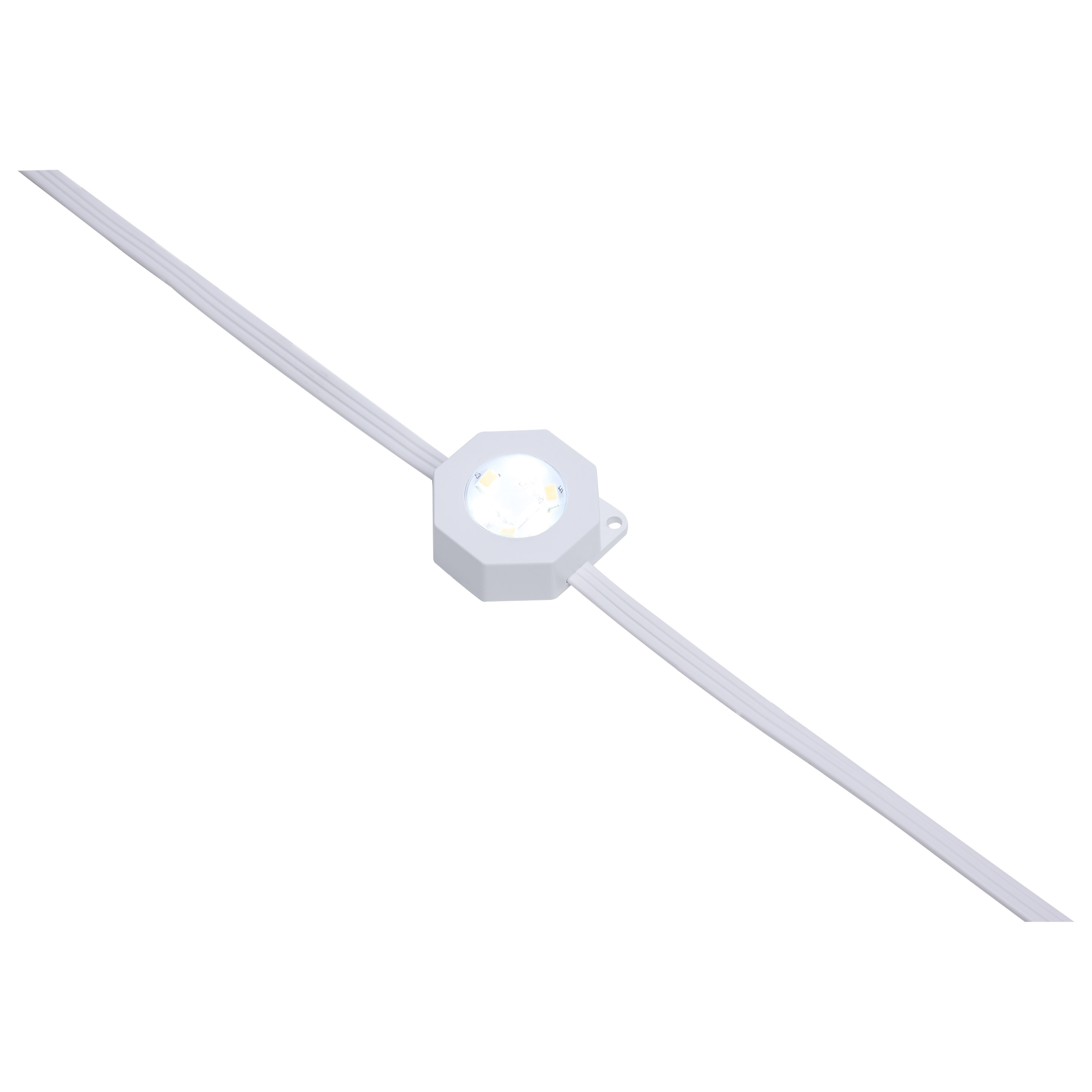 50FT/36LED/PSL/SF/RGBTWIC - S11297