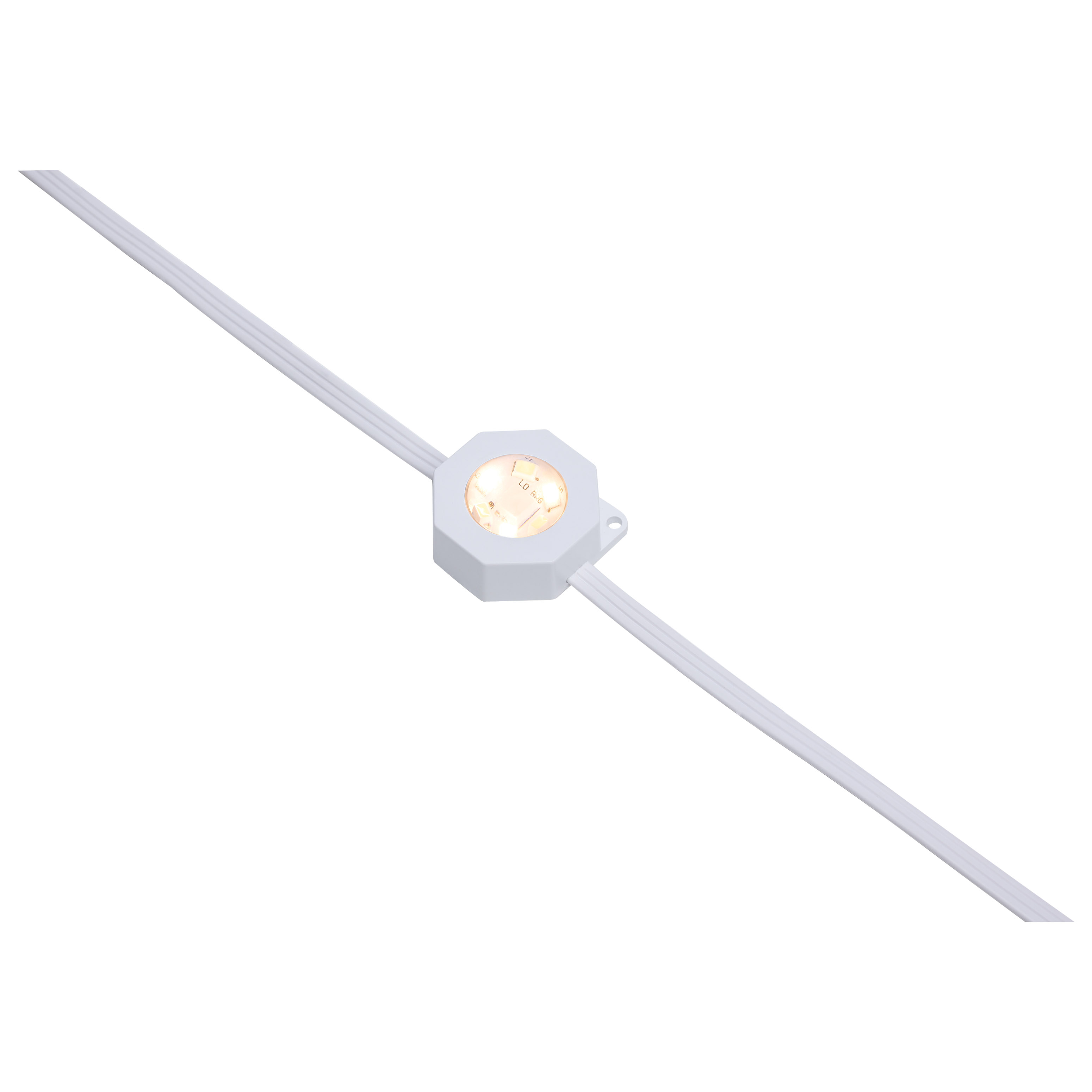50FT/36LED/PSL/SF/RGBTWIC - S11297