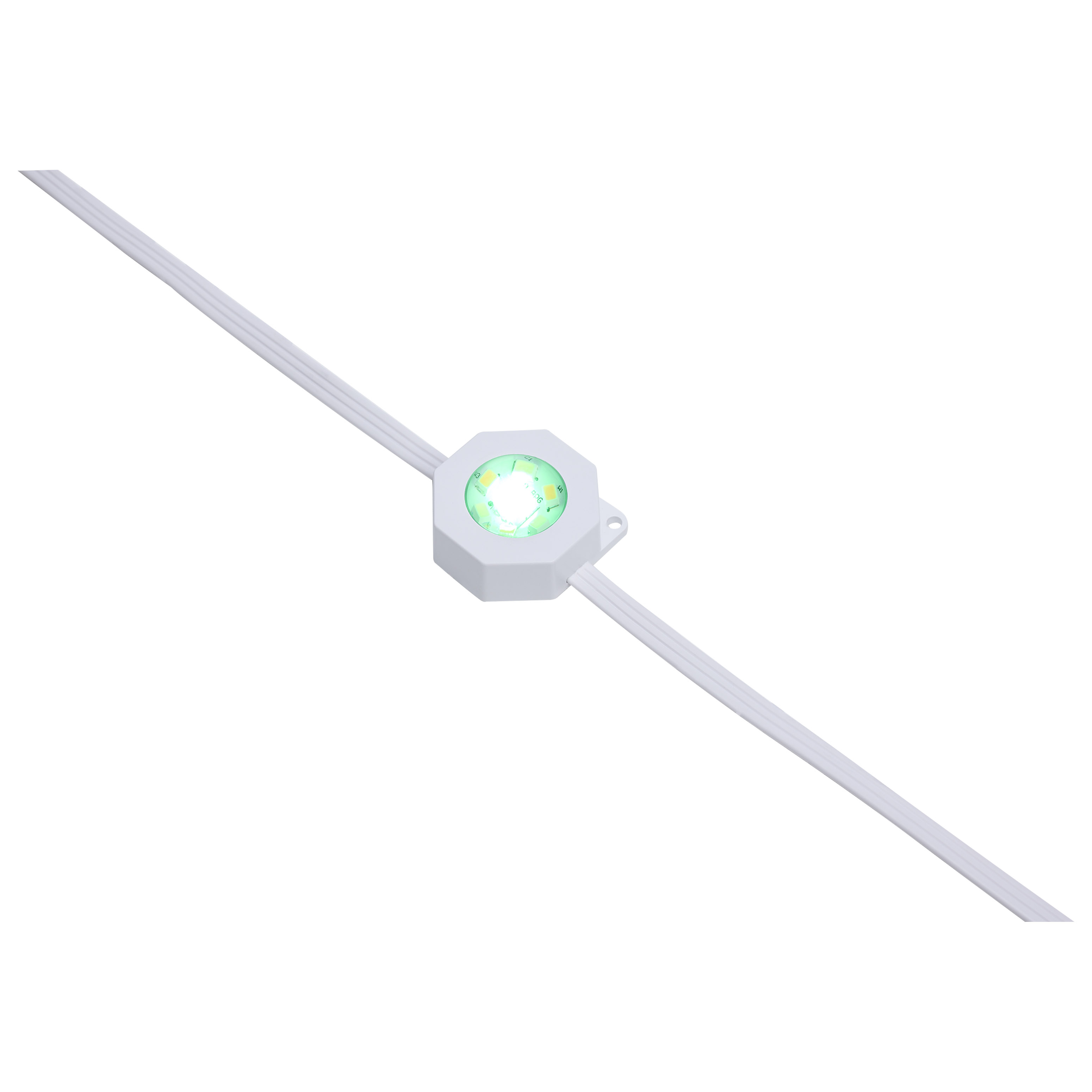 50FT/36LED/PSL/SF/RGBTWIC - S11297