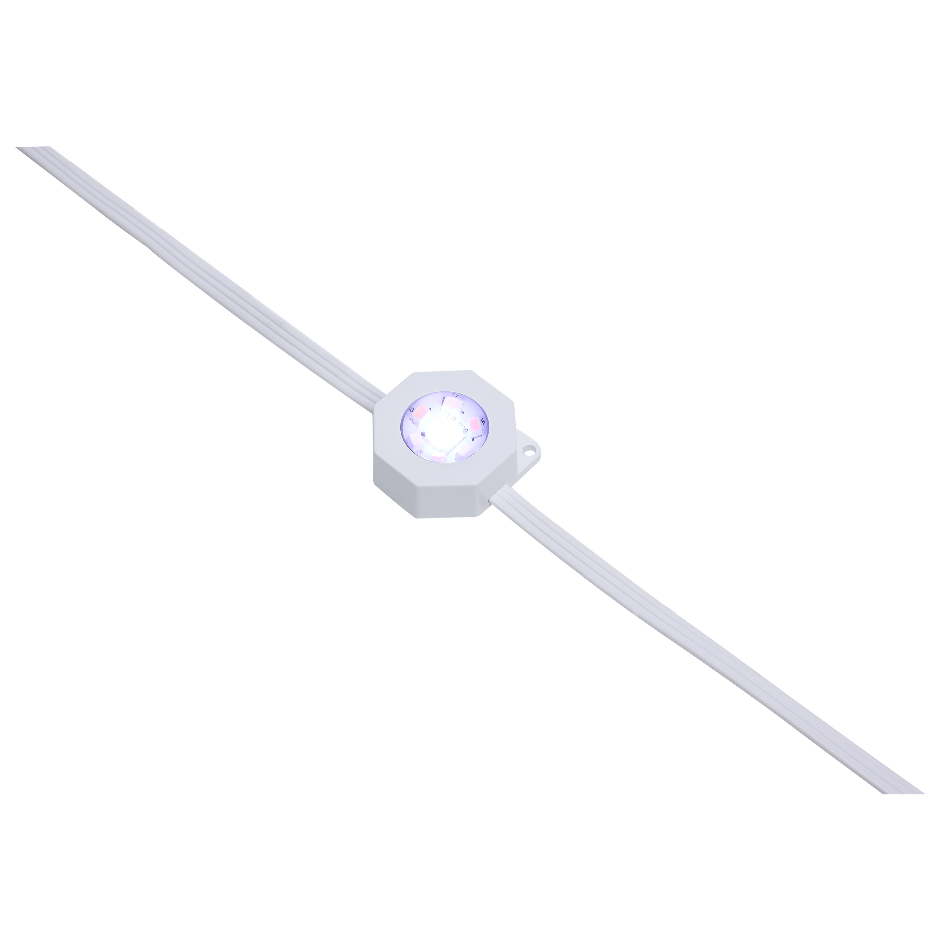 50FT/36LED/PSL/SF/RGBTWIC - S11297