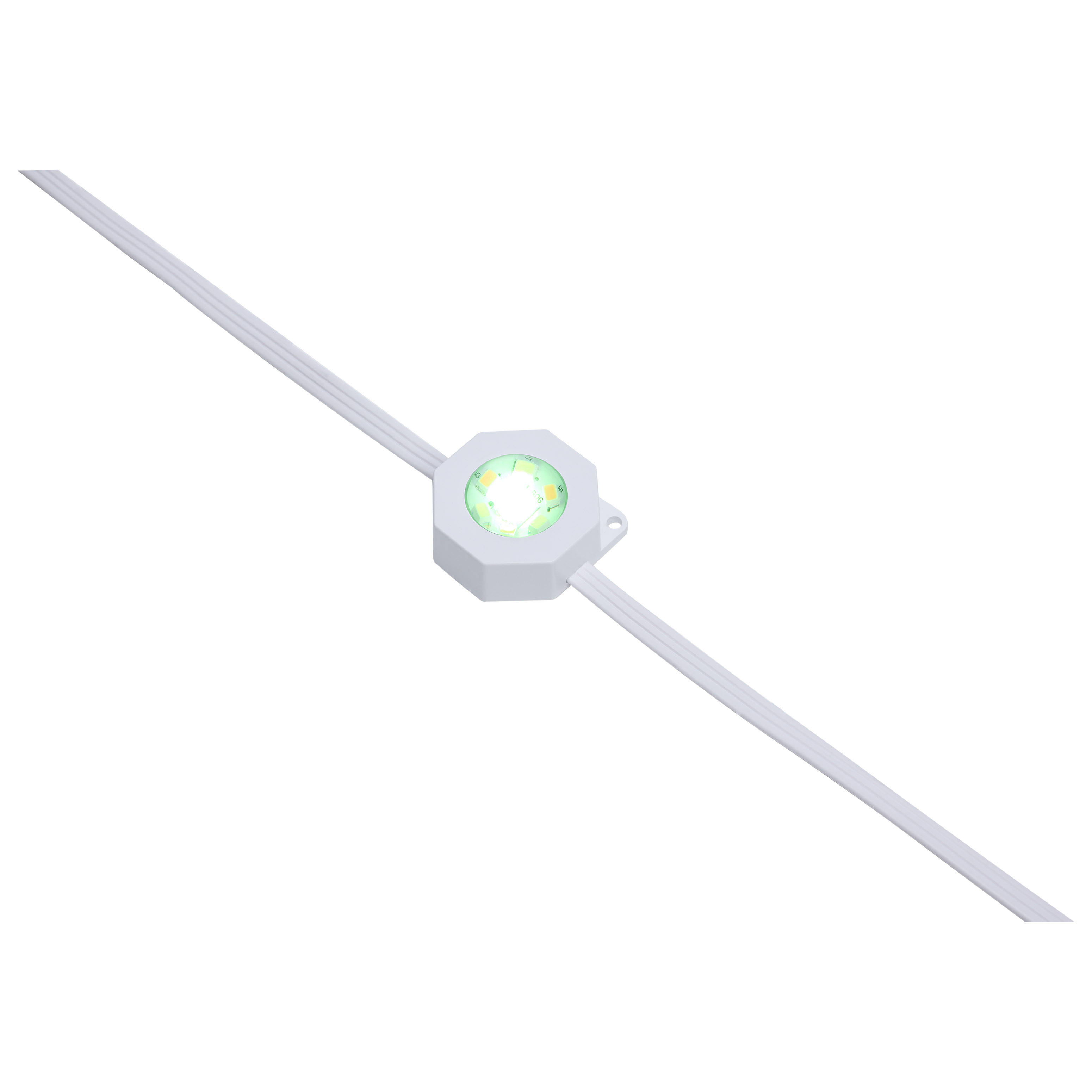 100FT/72LED/PSL/SF/RGBTWIC - S11298