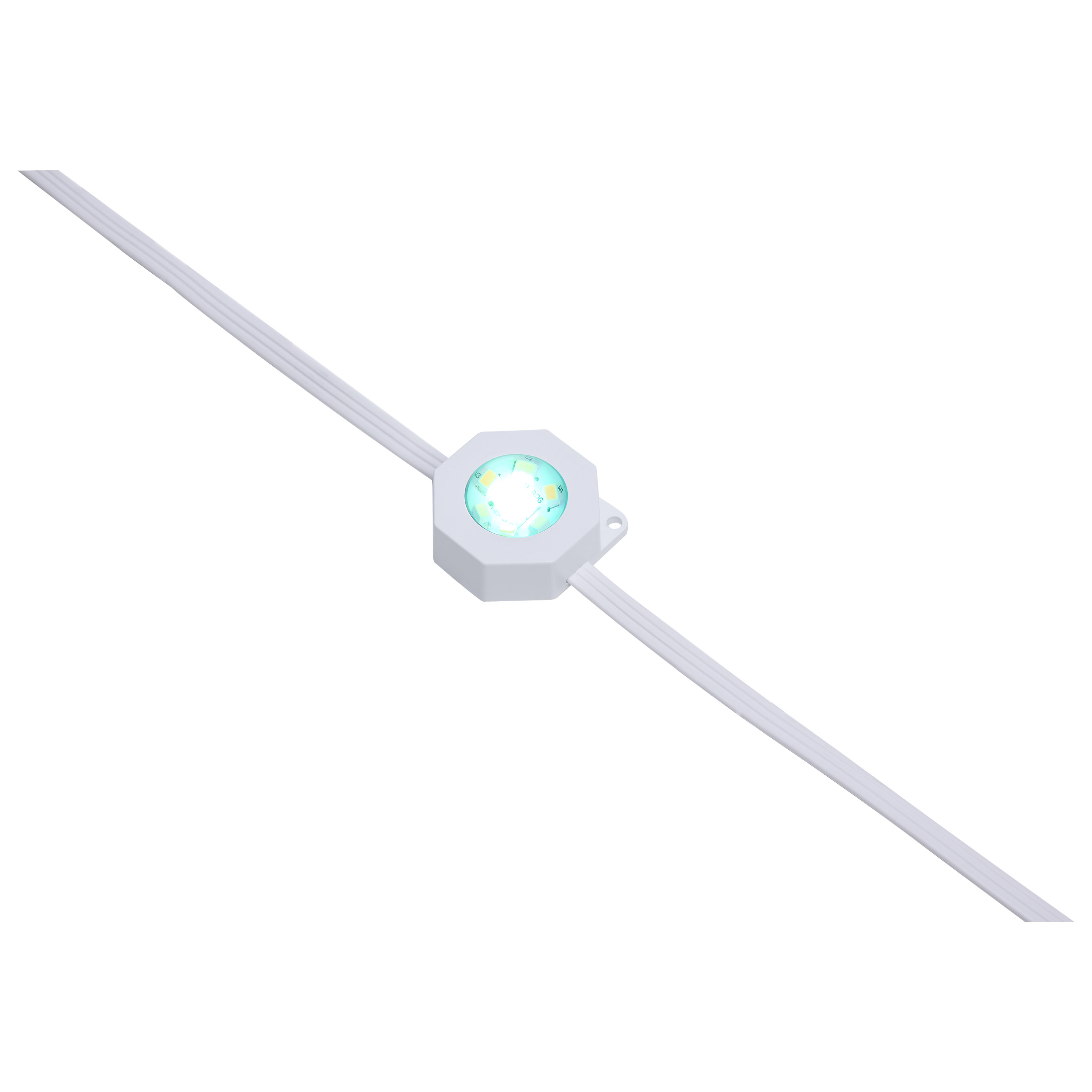 100FT/72LED/PSL/SF/RGBTWIC - S11298