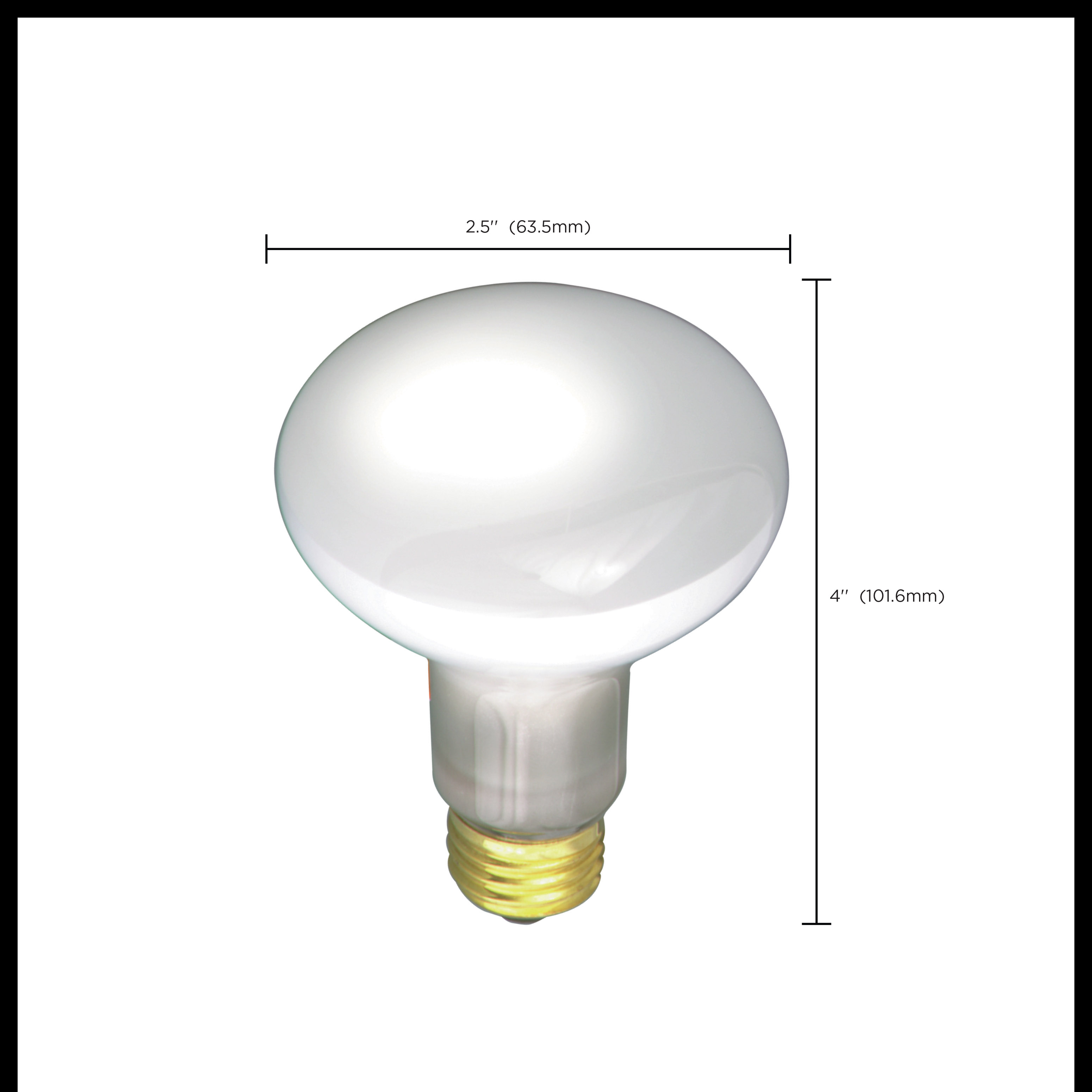 30R20 REFLECTOR 130V - S2810