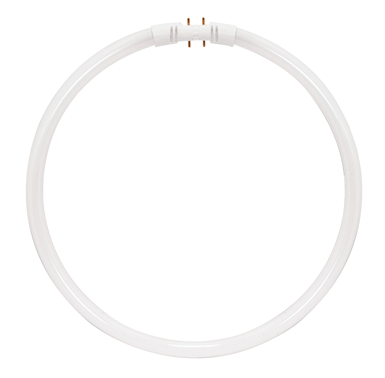 FC22T5/835 - S8156