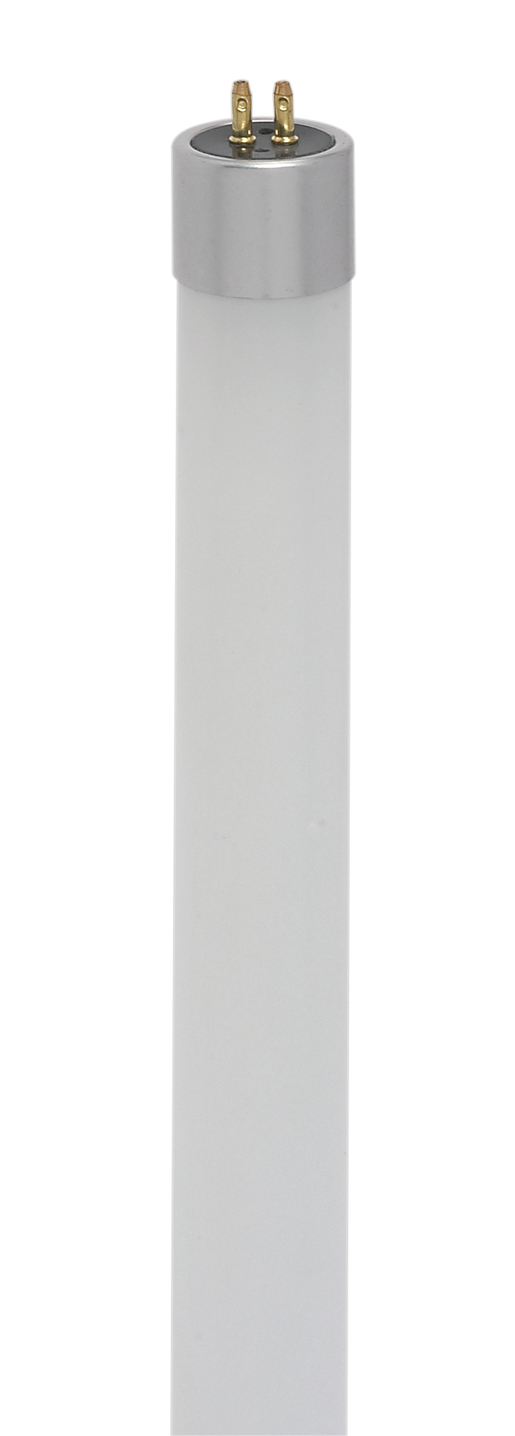 4W/LED/T5/830/BP - S11904