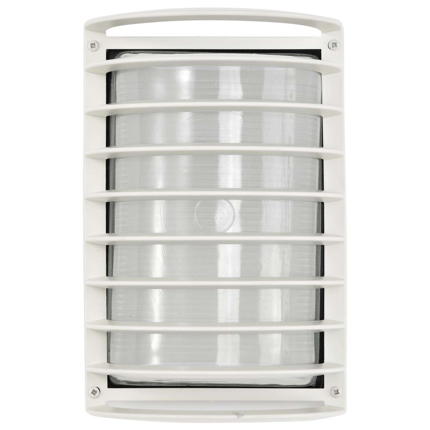 1 LT 10" RECTANGLE CAGE BLK HD - 60-532