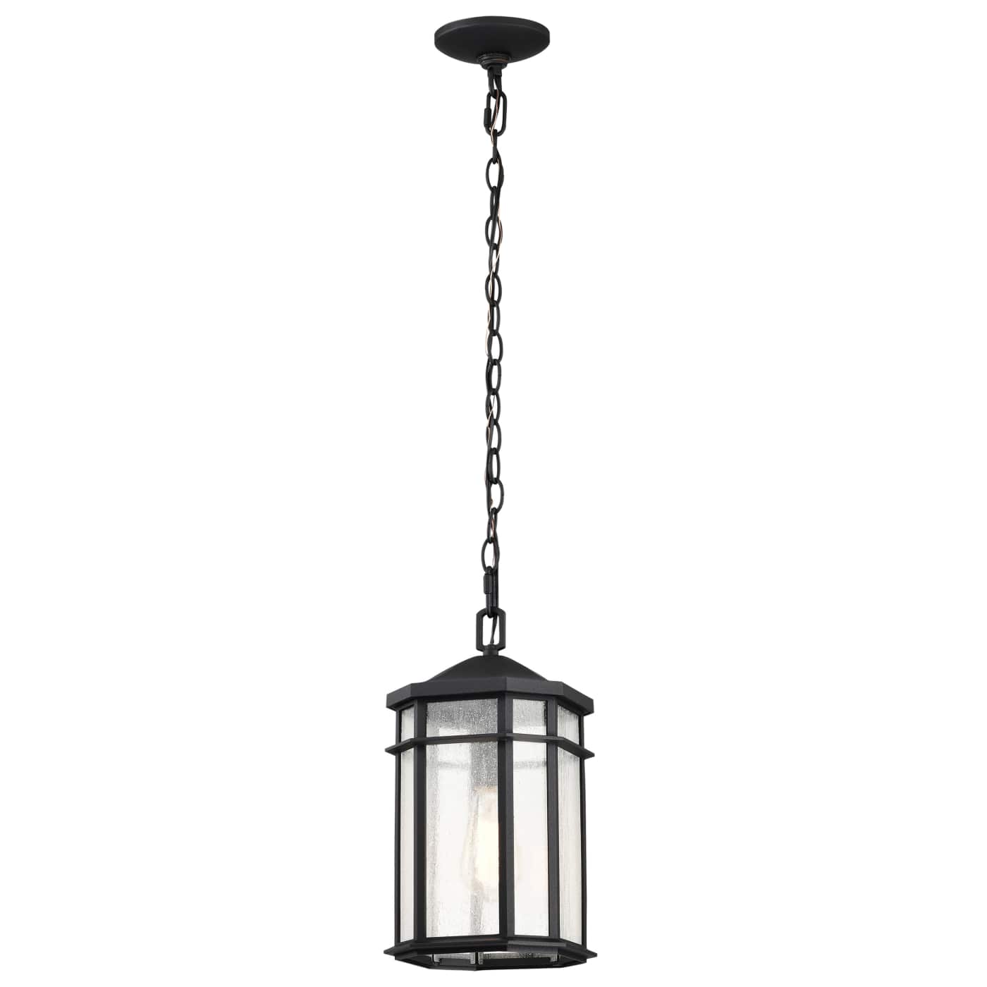 RAIDEN 1LT OUTDOOR HANGING - 60-5759