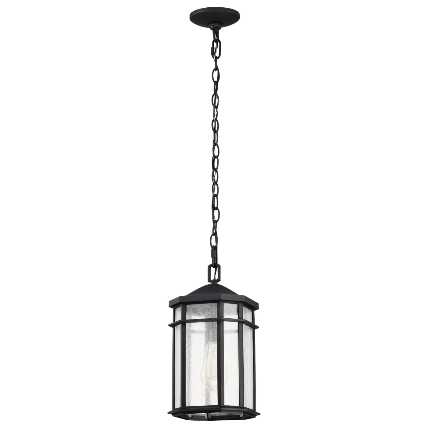 RAIDEN 1LT OUTDOOR HANGING - 60-5759