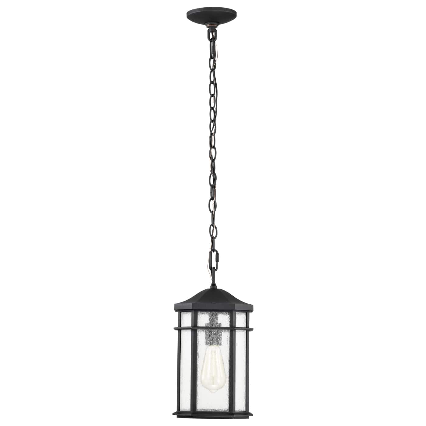 RAIDEN 1LT OUTDOOR HANGING - 60-5759