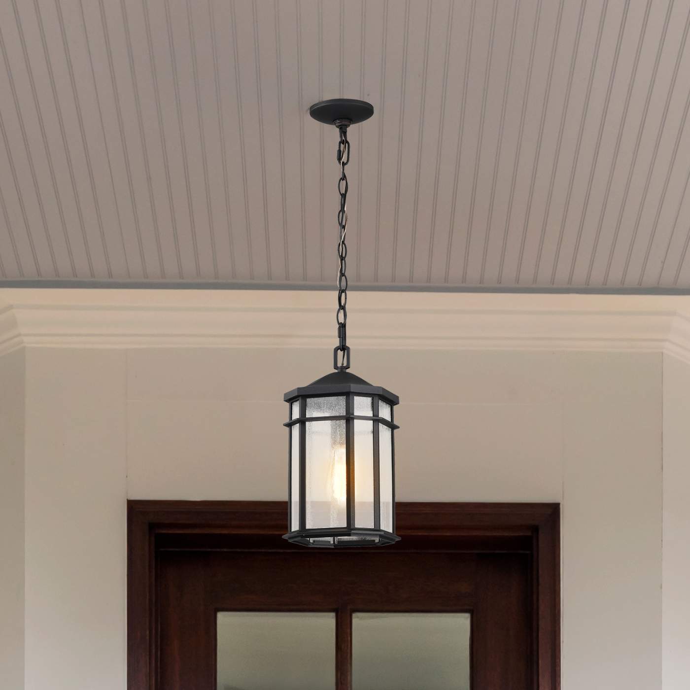 RAIDEN 1LT OUTDOOR HANGING - 60-5759