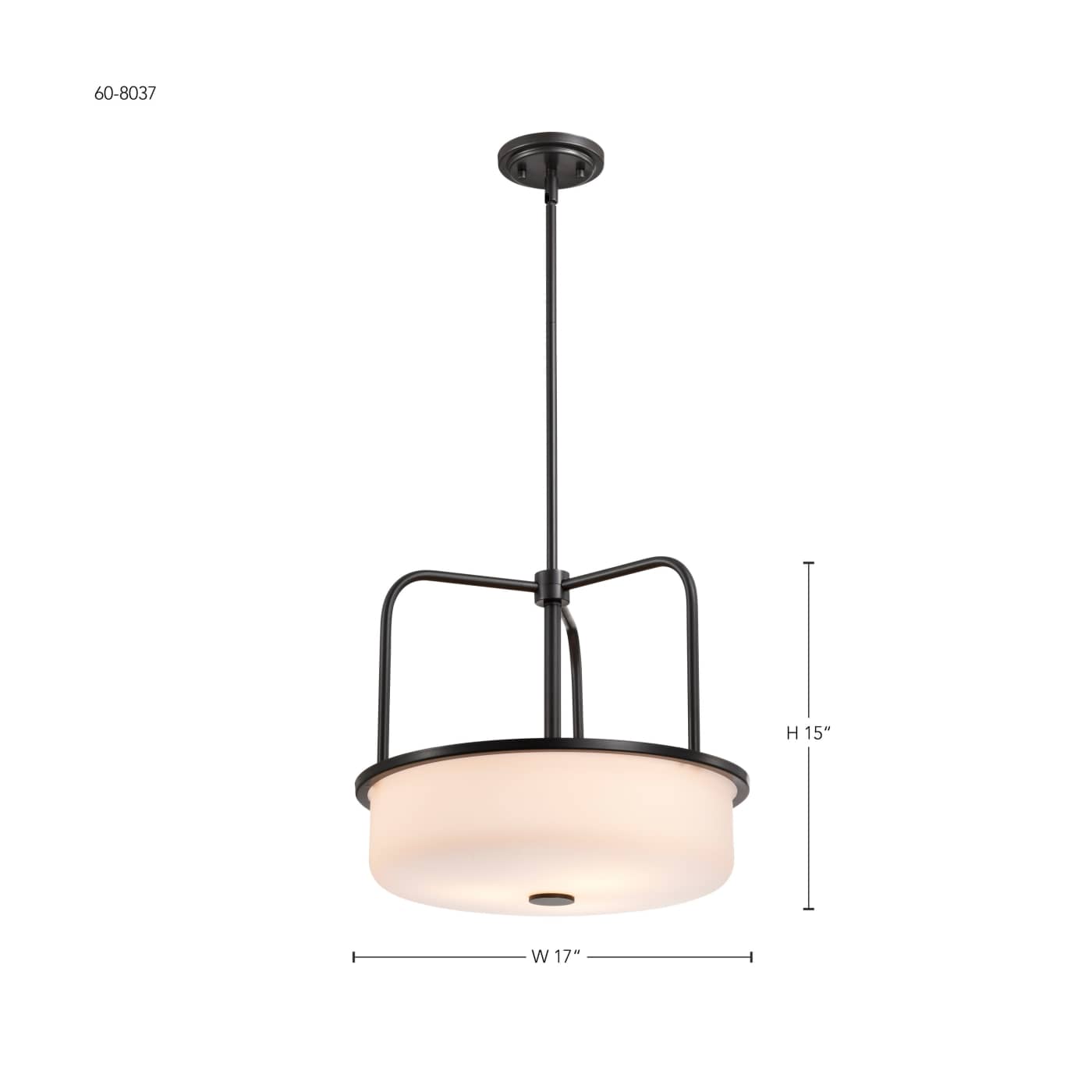 WARREN 17" PENDANT - 60-8037