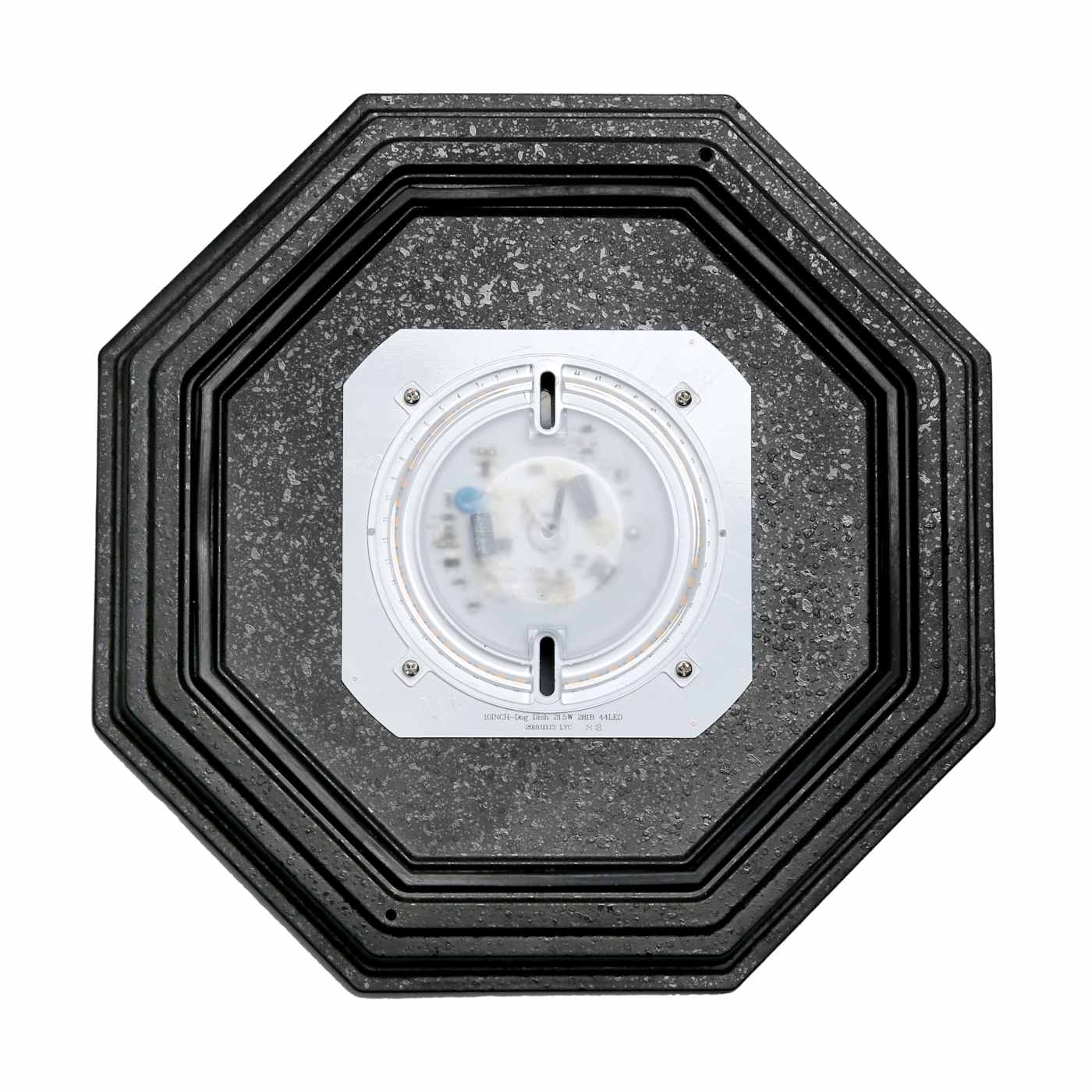 LED SPIDER CAGE - 62-1419