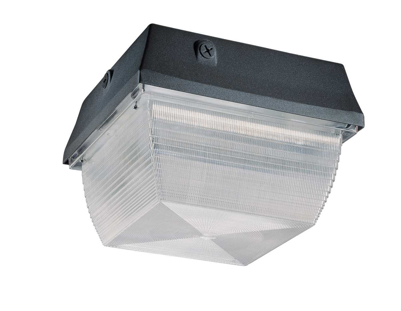 W/LAMPS 2-13W GX23 PL WHT DIE - 65-034R