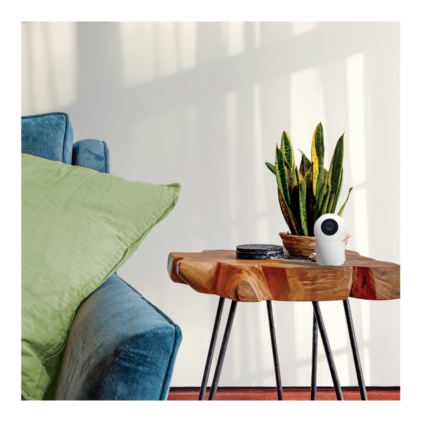 INDOOR P&T CAM-WHITE - 65-945