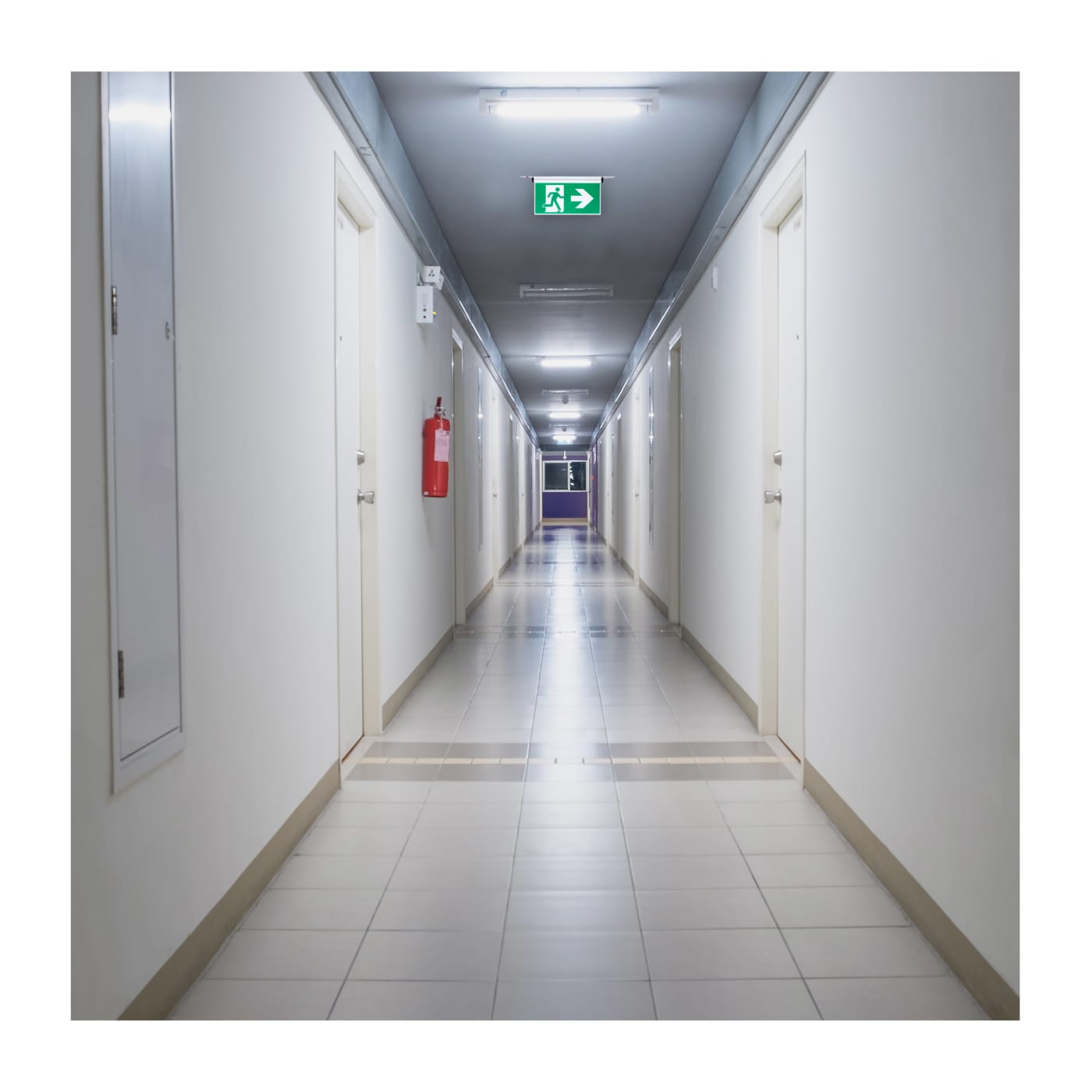 EX SIGN-CAN-EL-AL - 67-530