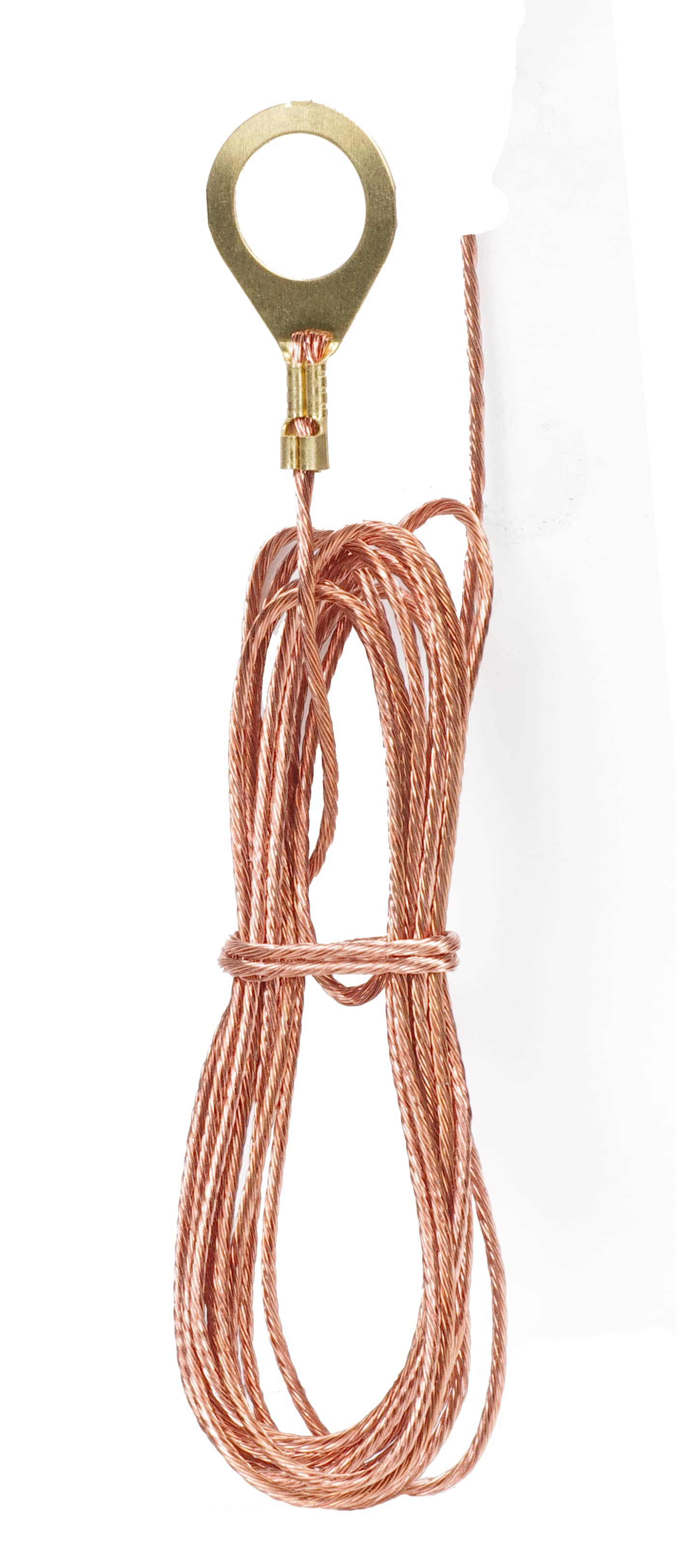 1/8 IP LUG W/ 6 FT # 18 BARE - 80-2330