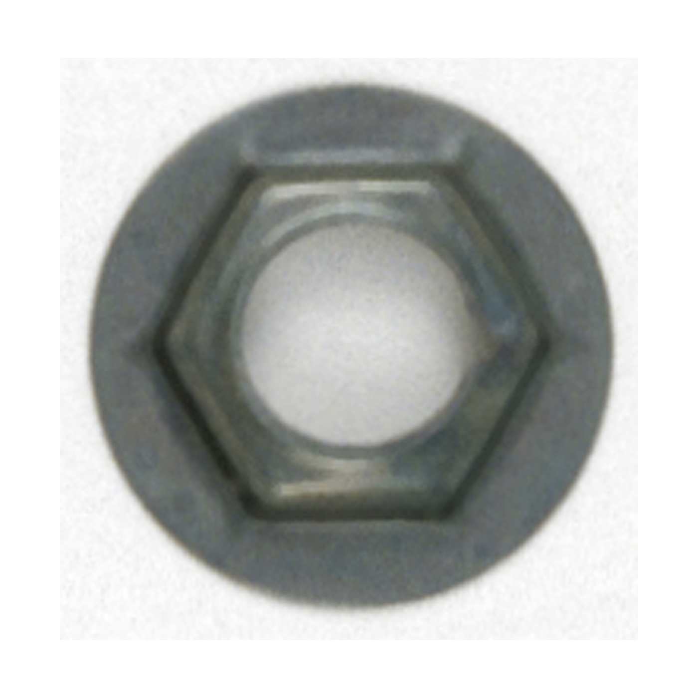 1/8IP SHOULDER PAL NUT - 90-019