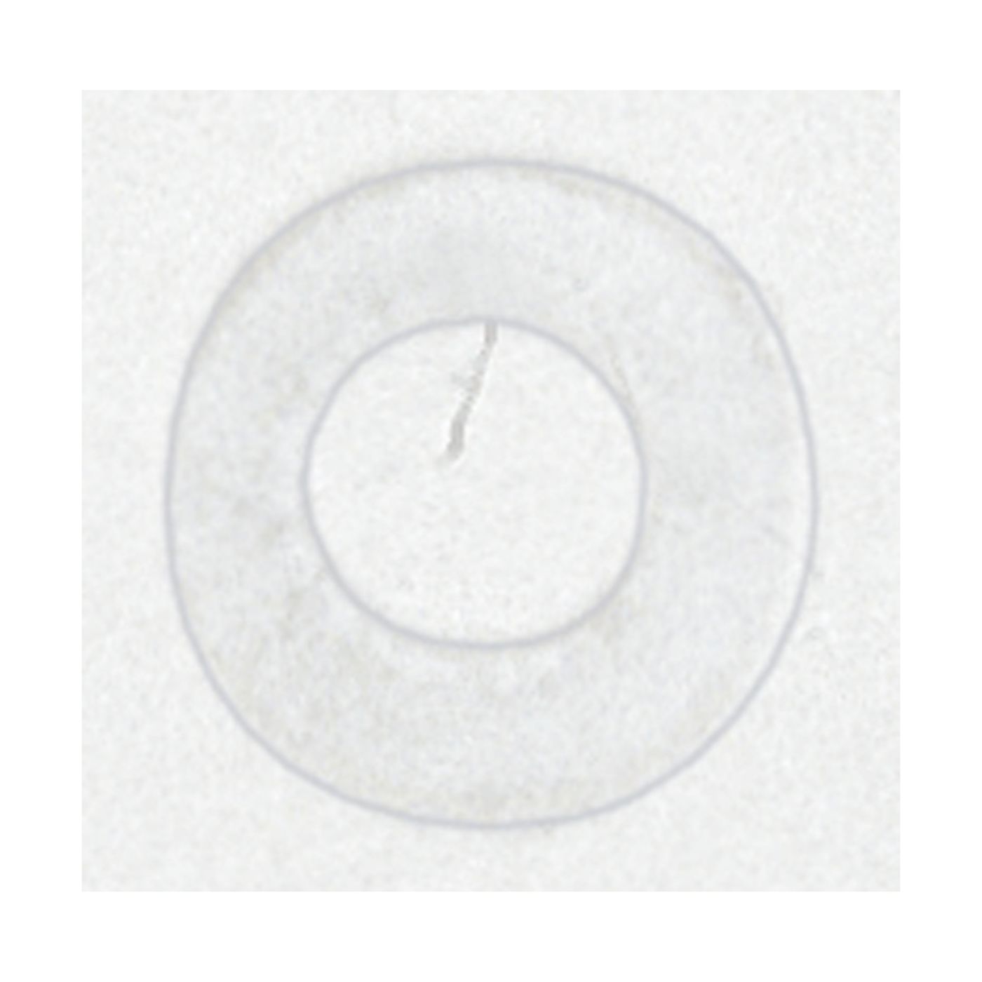 2" 1/8 SLIP FELT WASHER WHITE - 90-1181