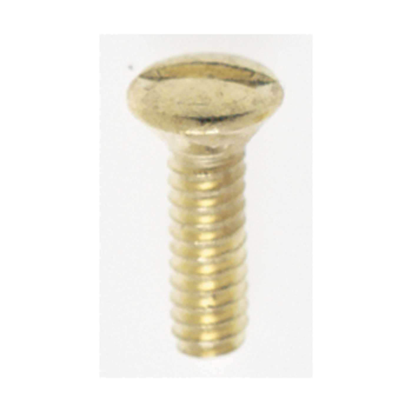 6/32 BRASS SWITCHPLATE SCREW - 90-538
