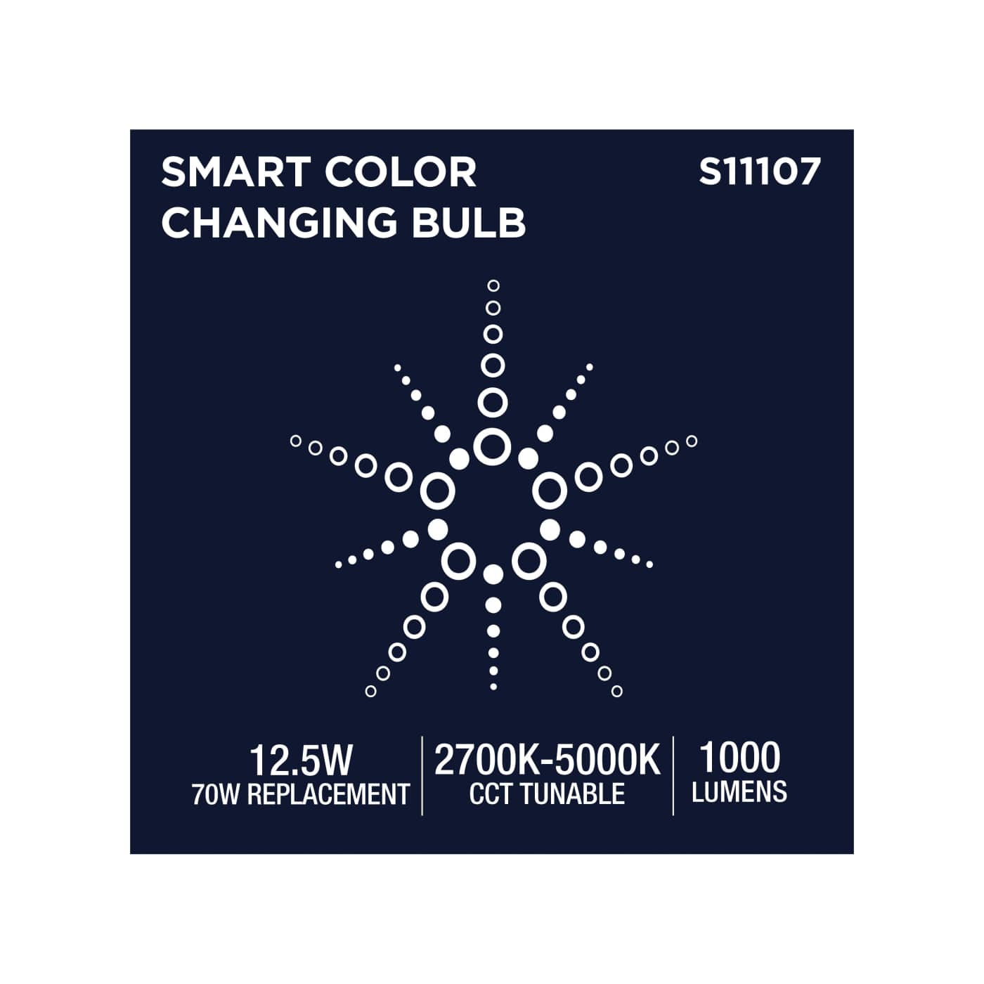PAR30/12.5W/LED/RGBTW/SF - S11107