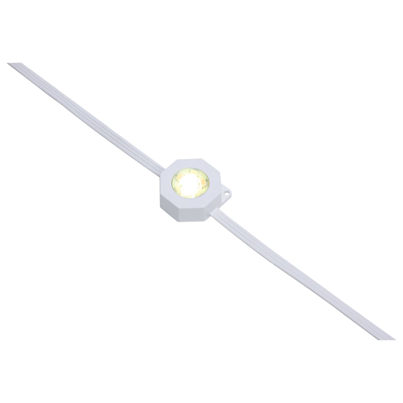 50FT/36LED/PSL/SF/RGBTWIC - S11297
