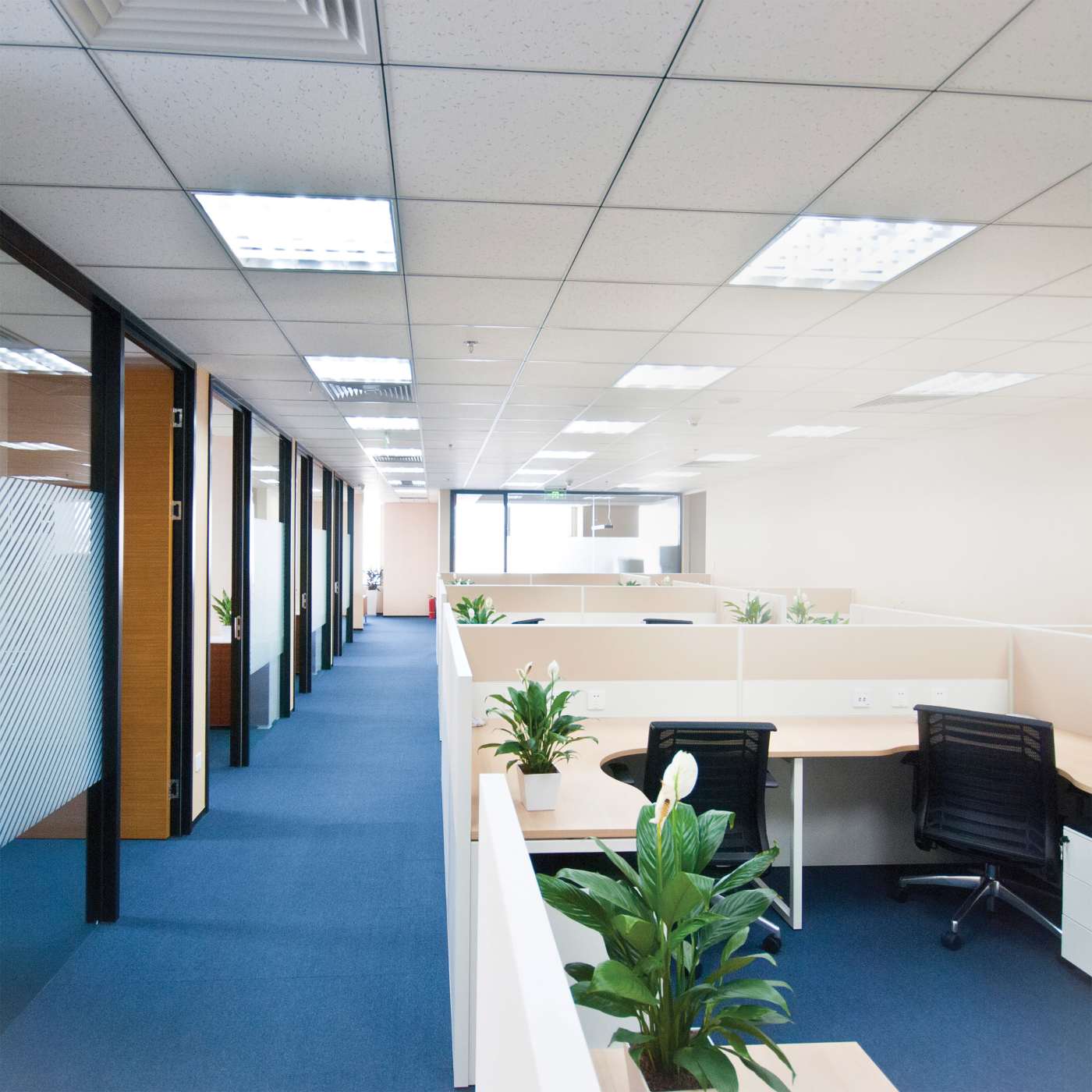 9.5/T8/LED/48-840/DR - S11742