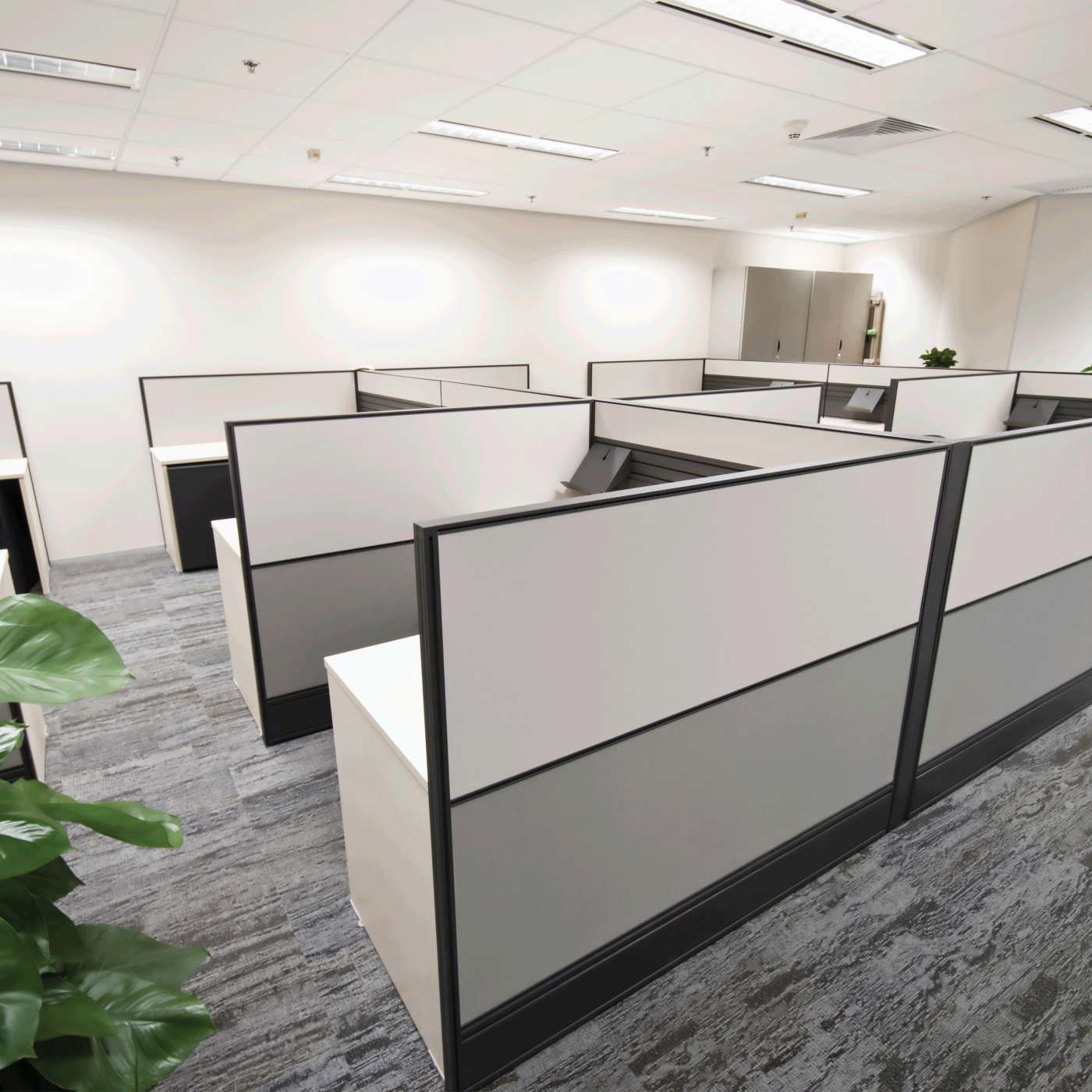 9.5/T8/LED/48-850/DR - S11743