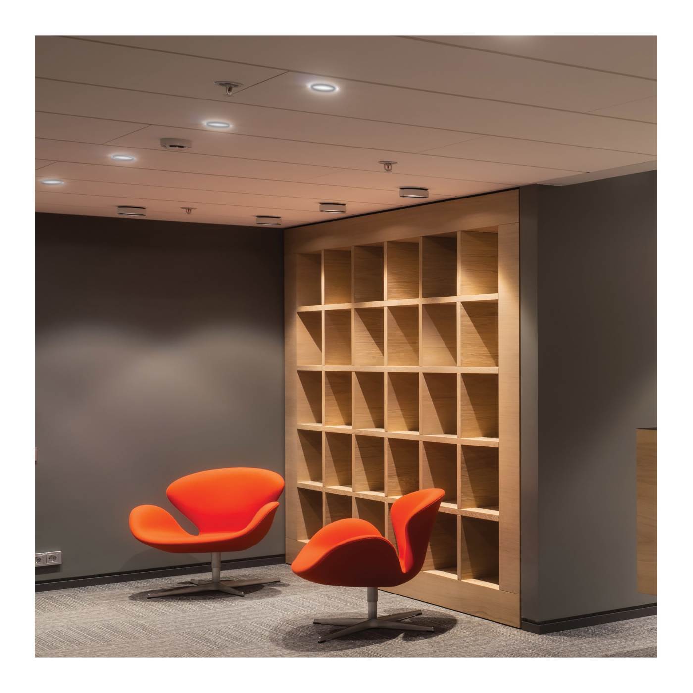 6.7WLED/DLR/4/CCT-SEL/RD/BZ - S11834R1