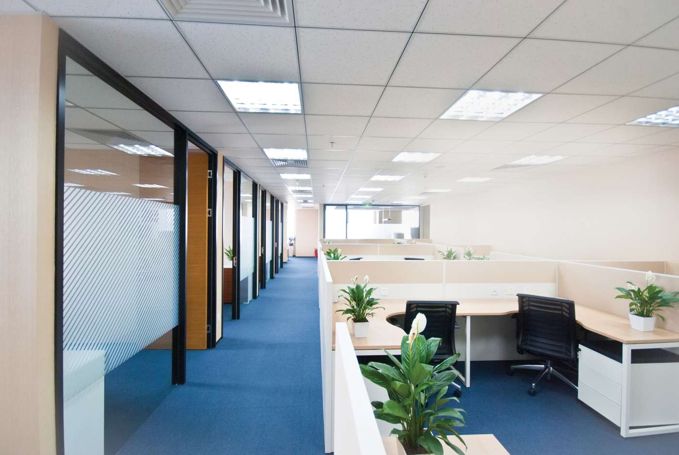 10T8/LED/48/840-850-865/DR - S11928