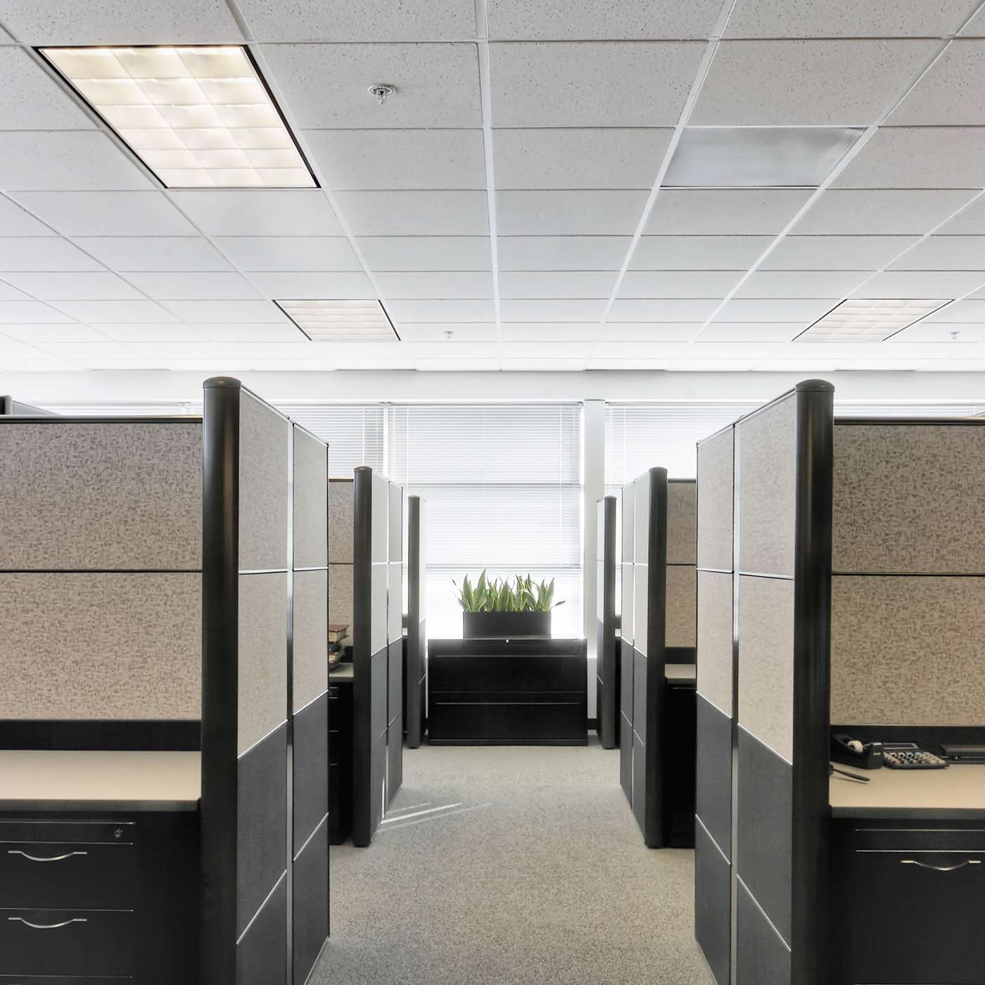 F25T12/CW/33 - S26570