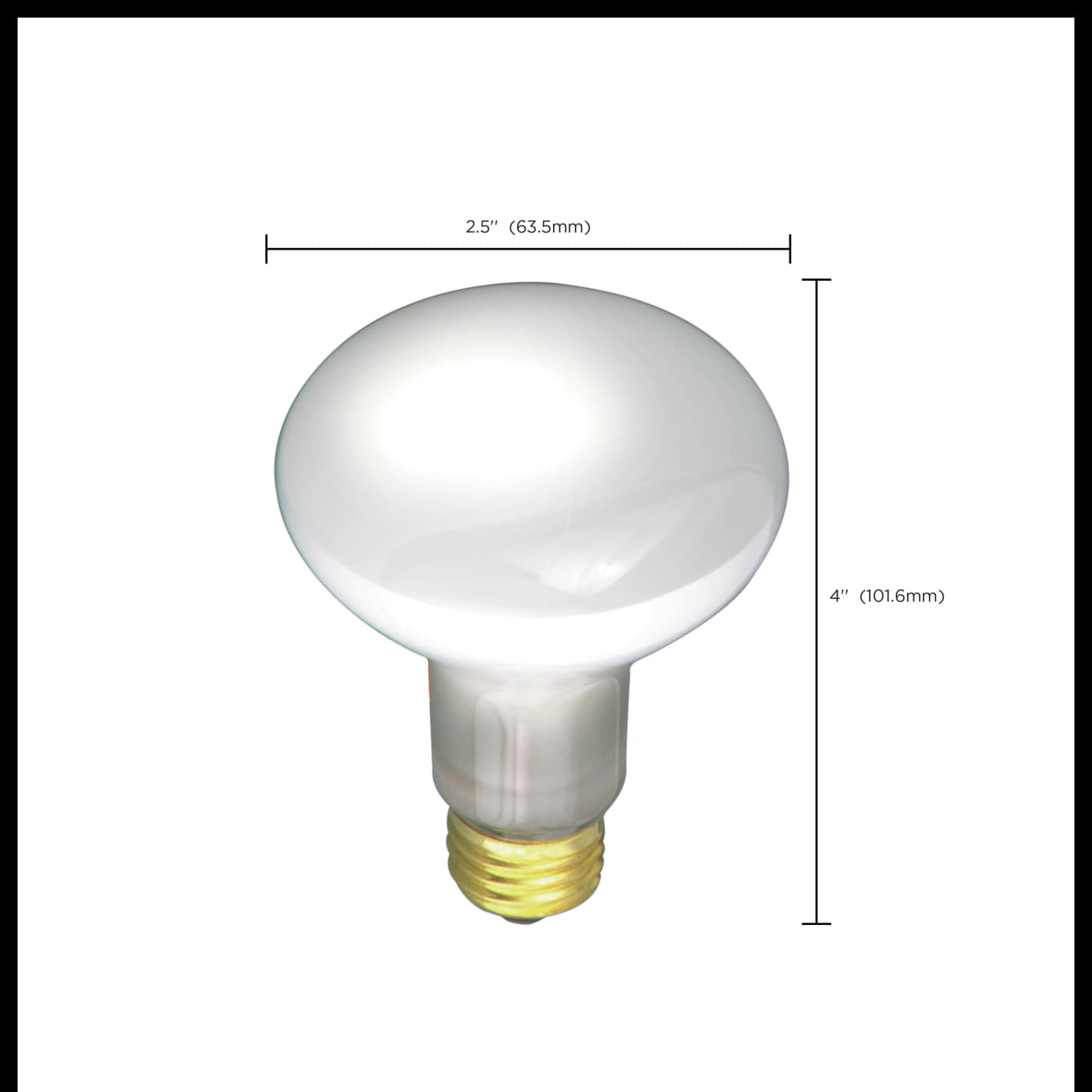 30R20 REFLECTOR 130V - S2810