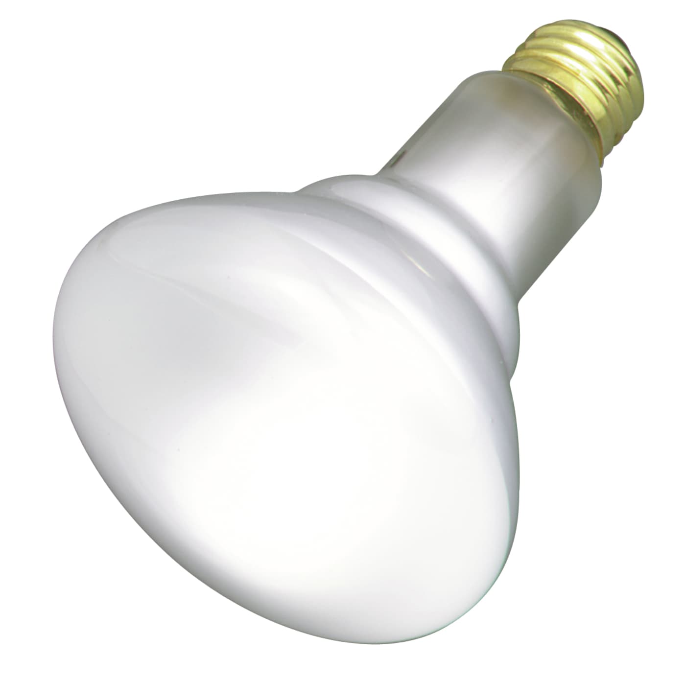 50BR30 REFLECTOR 48 PACK - S3259