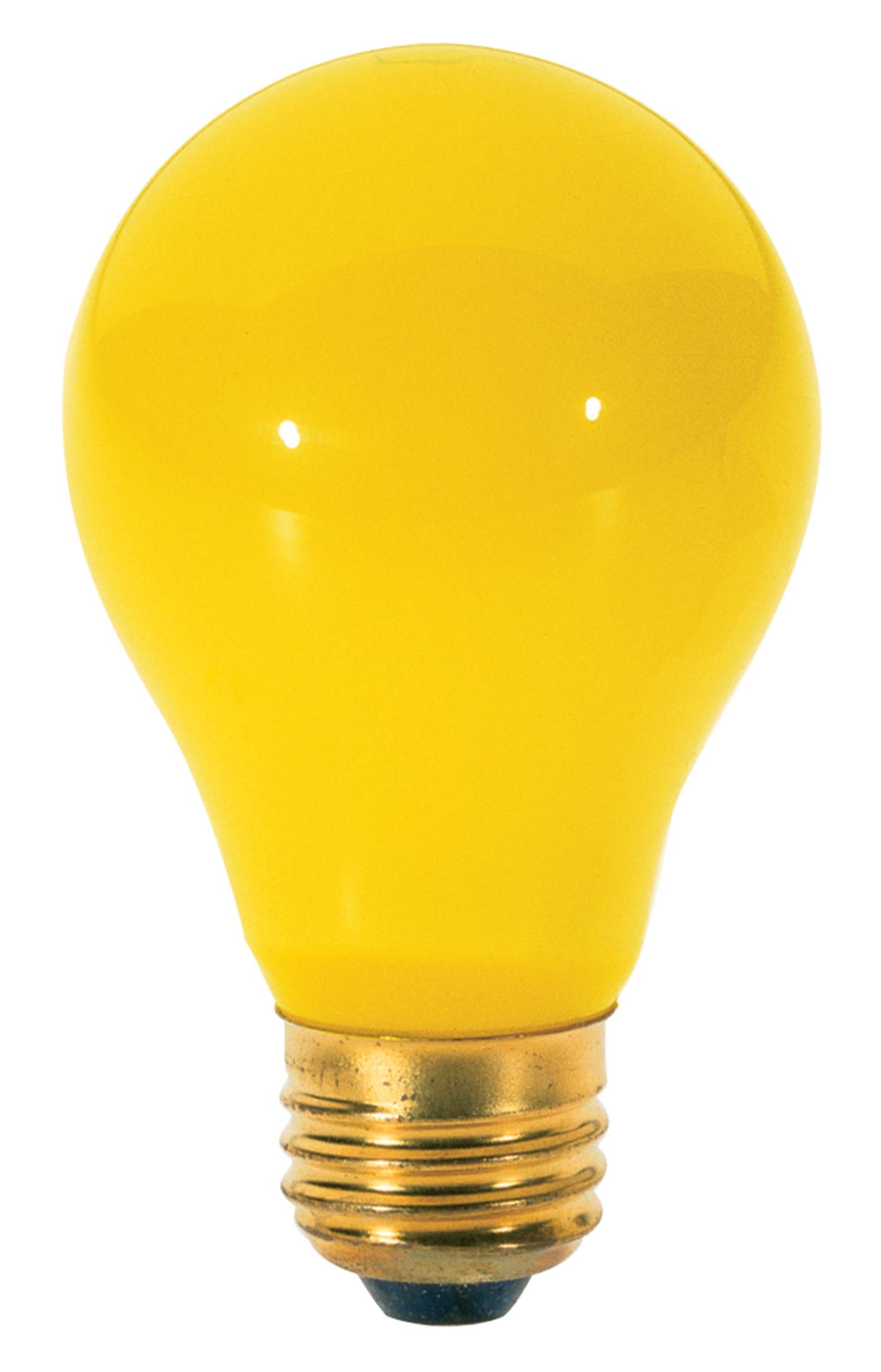 60 WATT CHASE-A-BUG BULB - S3938