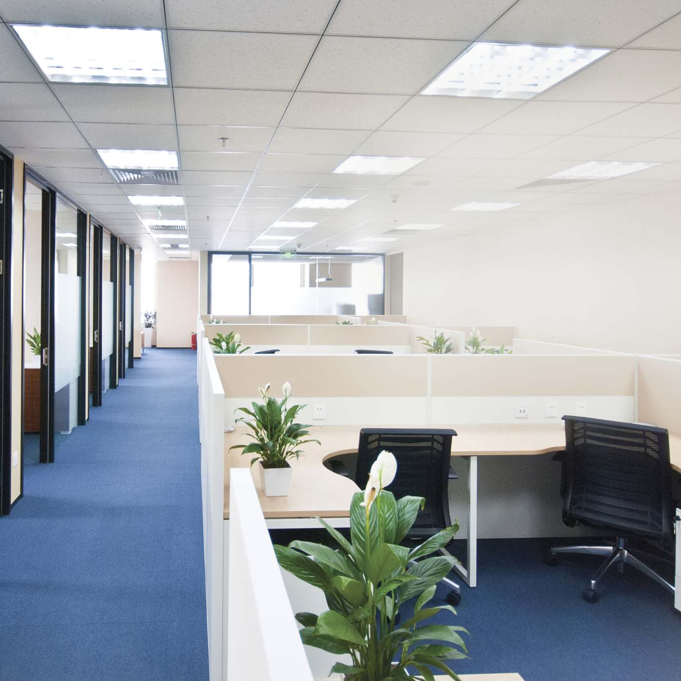 8T8/LED/24-830/DR - S49946