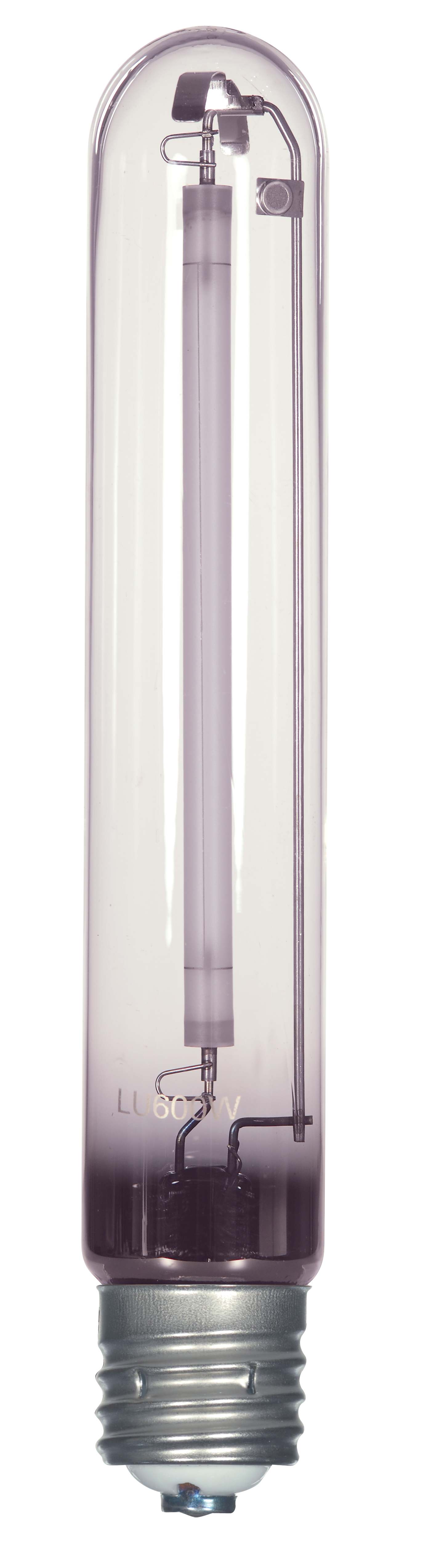 LU600/T15/HO - S5904