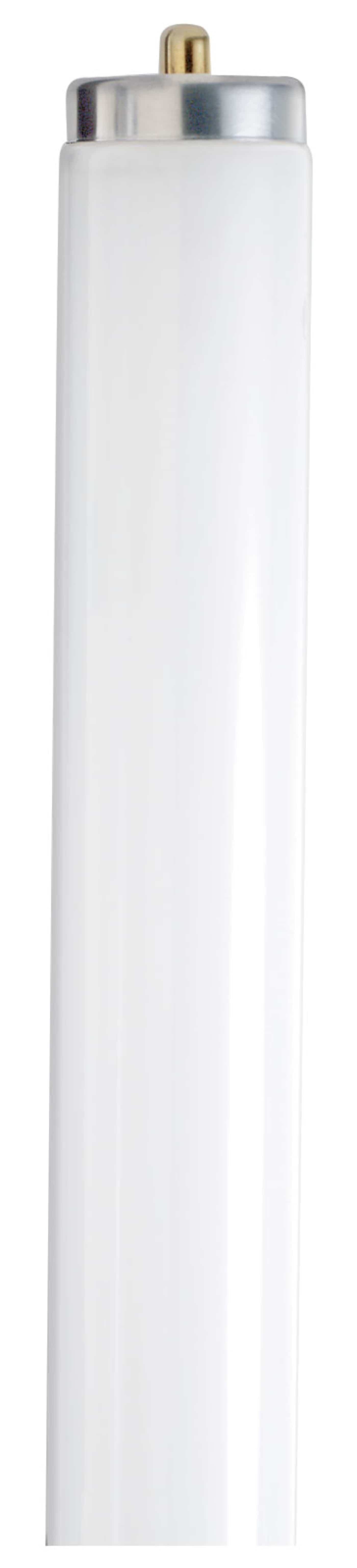 F60T12/D DAYLIGHT 26002 - S6483