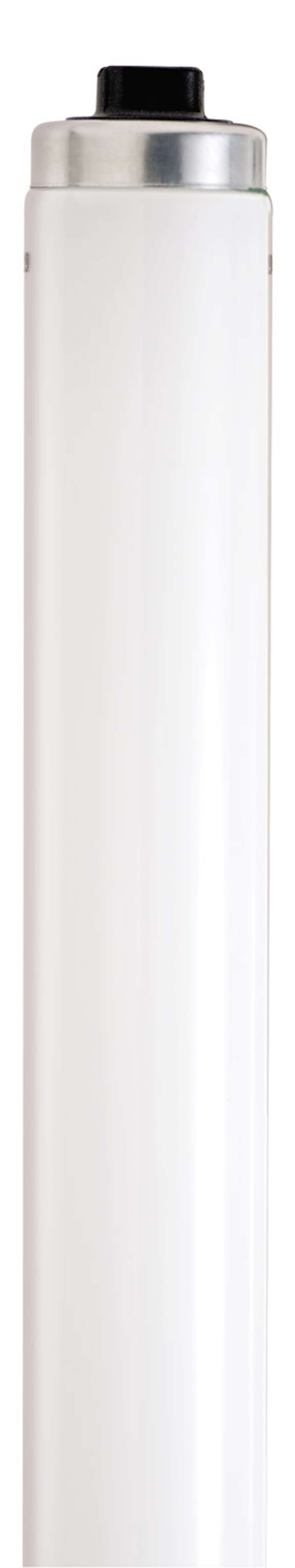 F96T12CW/VHO/SS/TF SHATTER PRO - S6590